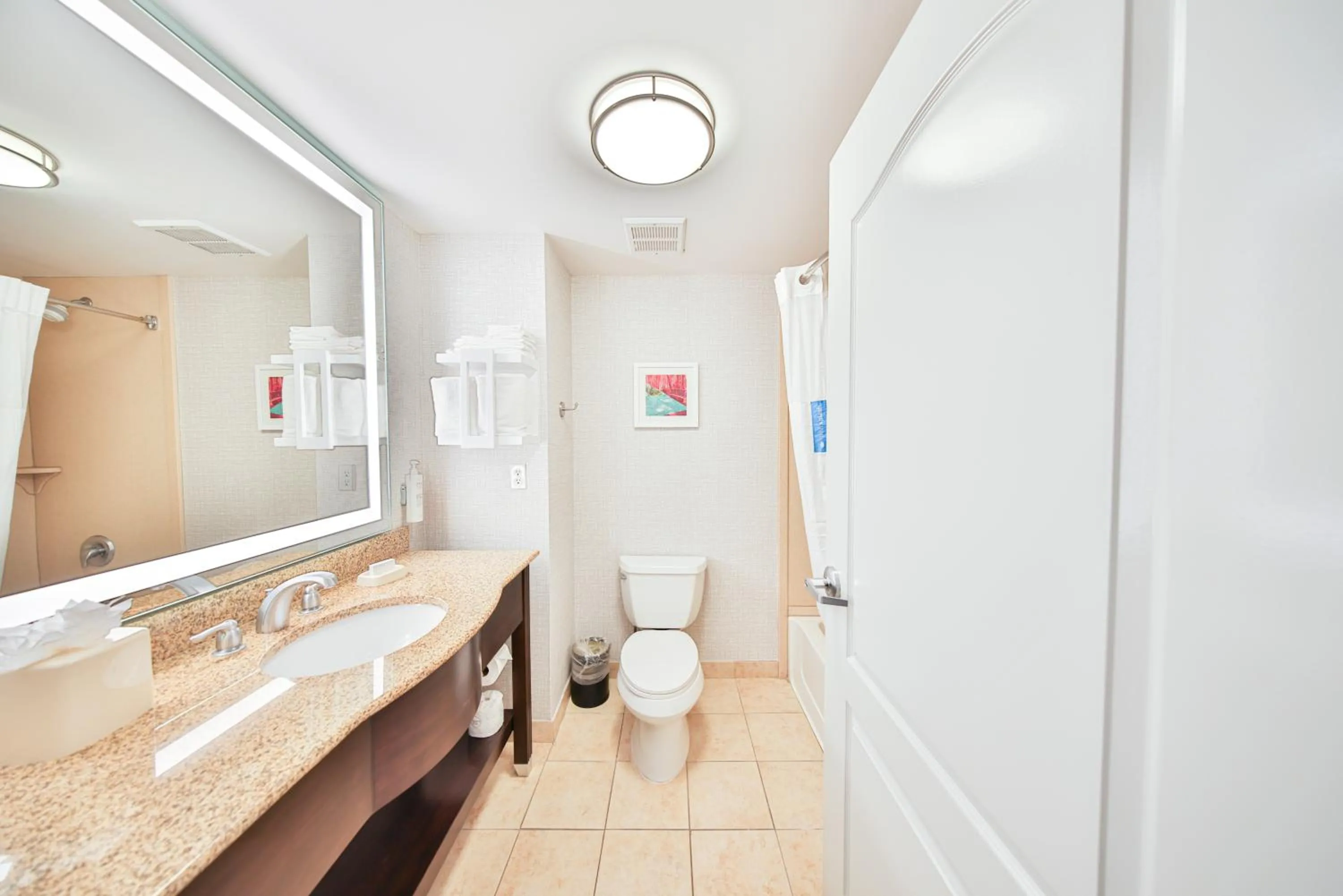 Shower in Hampton Inn & Suites by Hilton Seattle/Kent