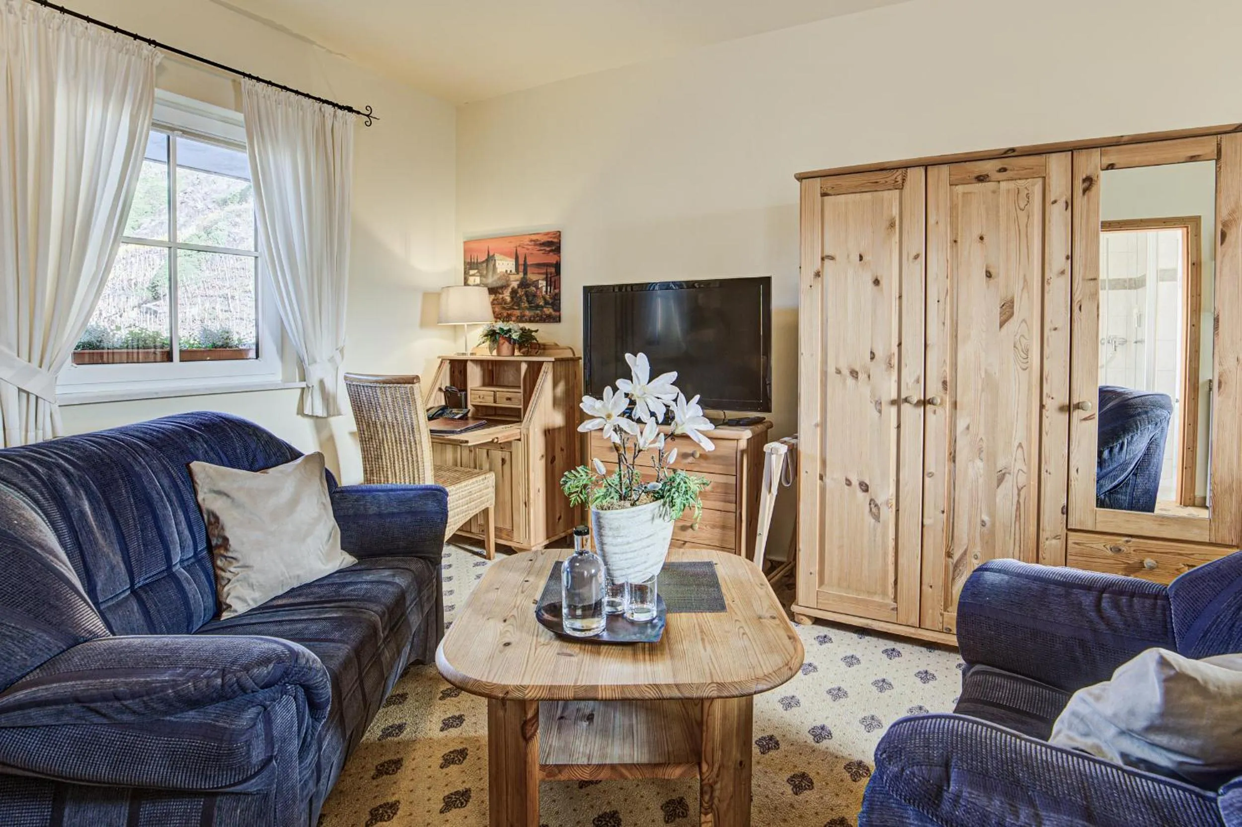 TV and multimedia in Landhaus Zimmermann