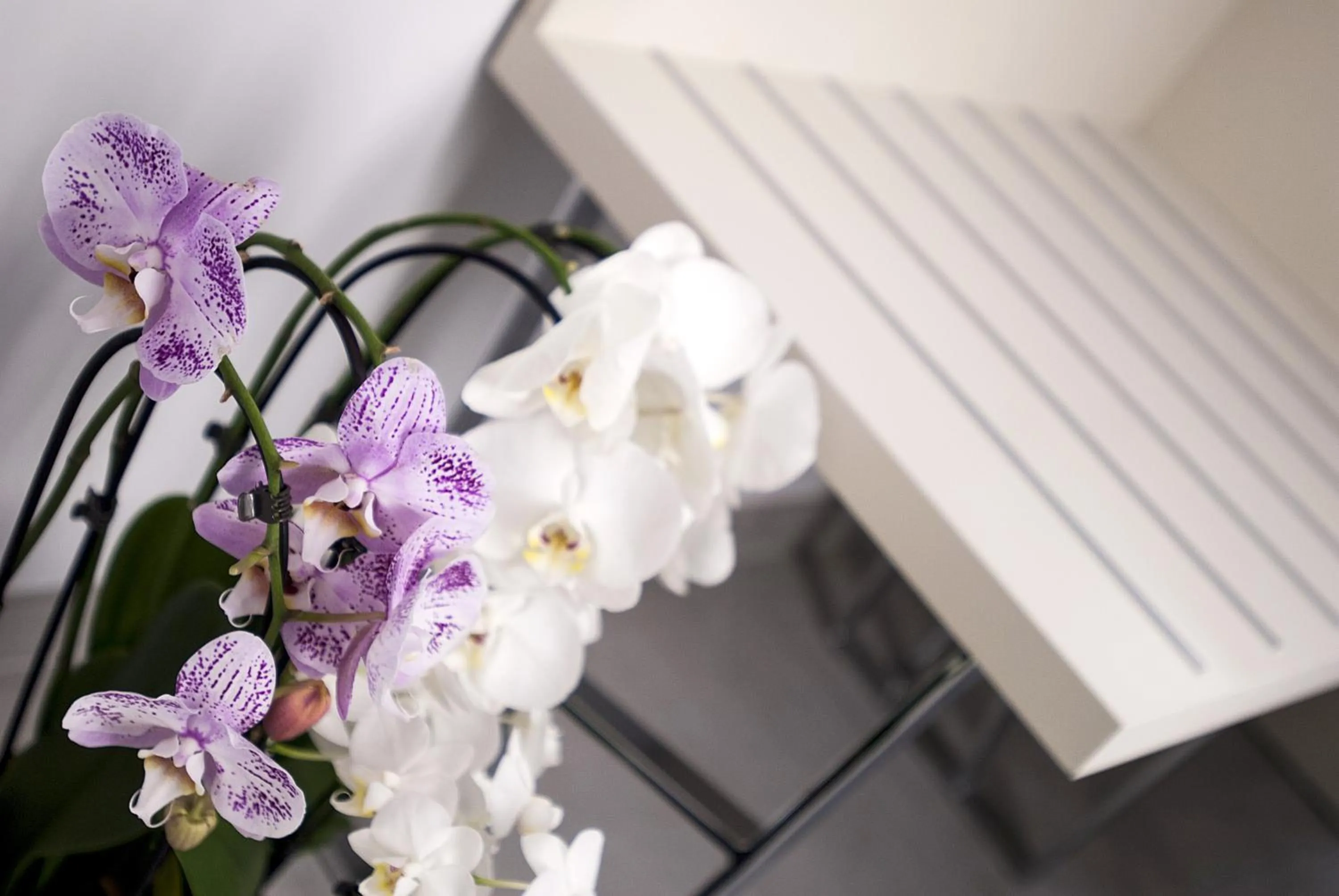 Decorative detail in Merulana Holidays