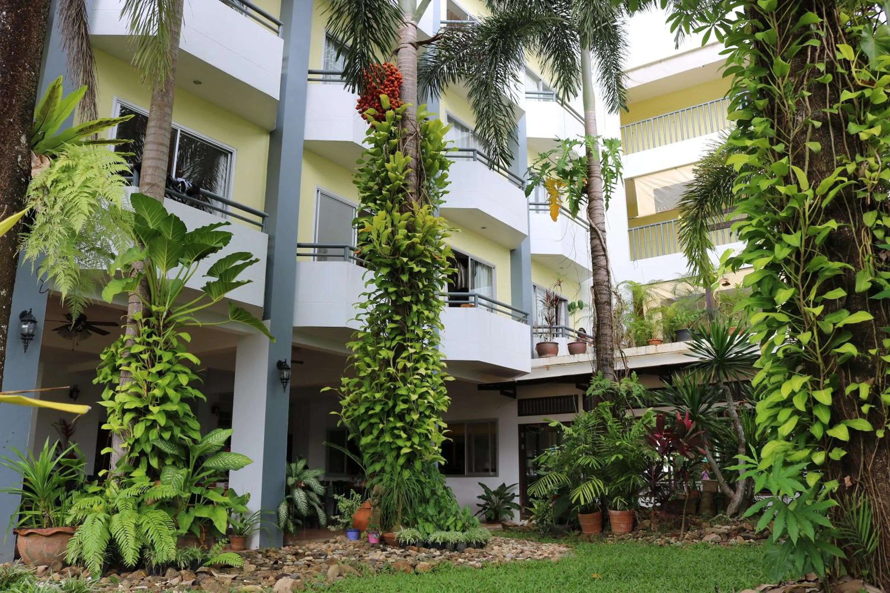 Garden in The Greenery Hotel