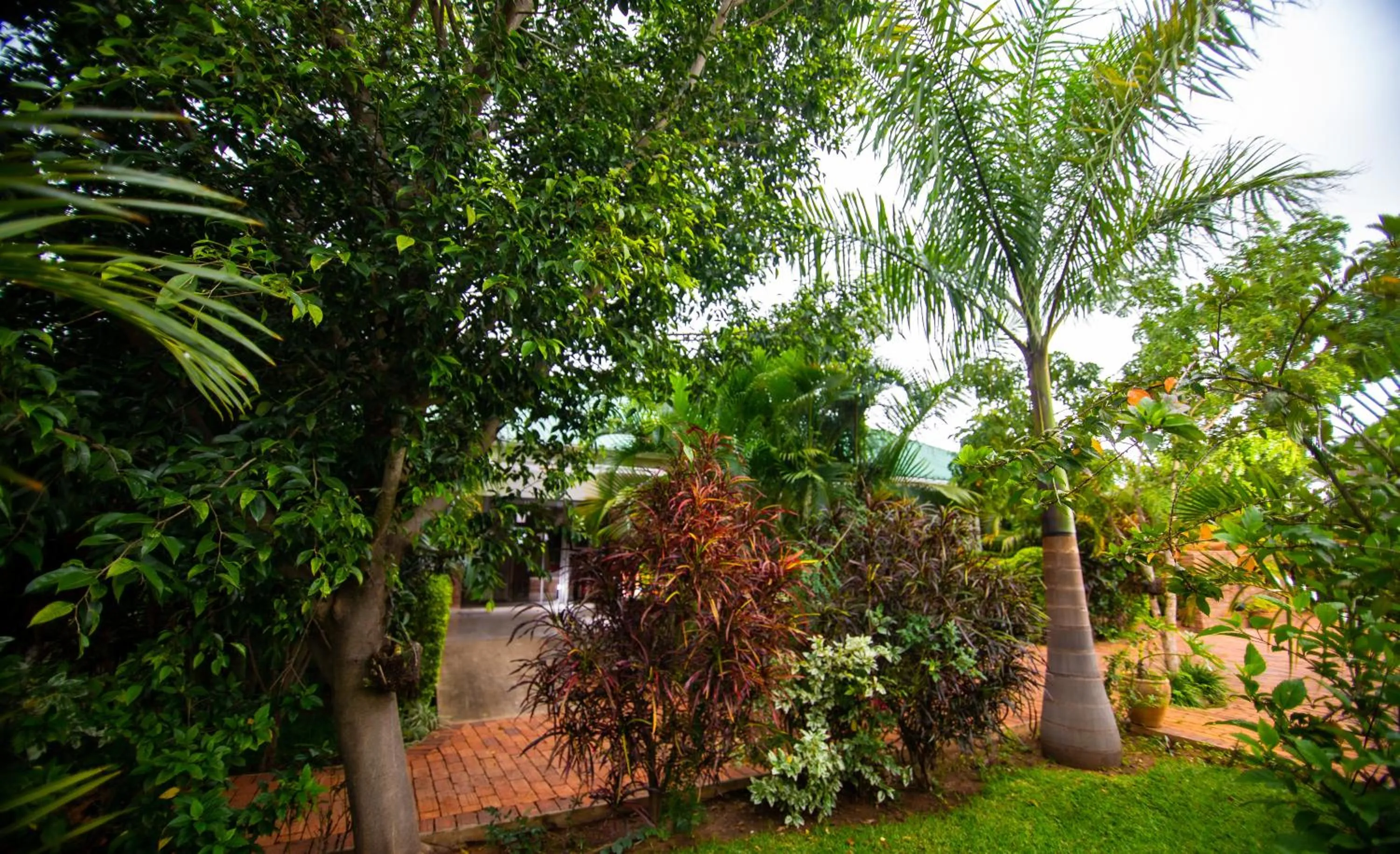 Day in Dzimbahwe Guest Lodge