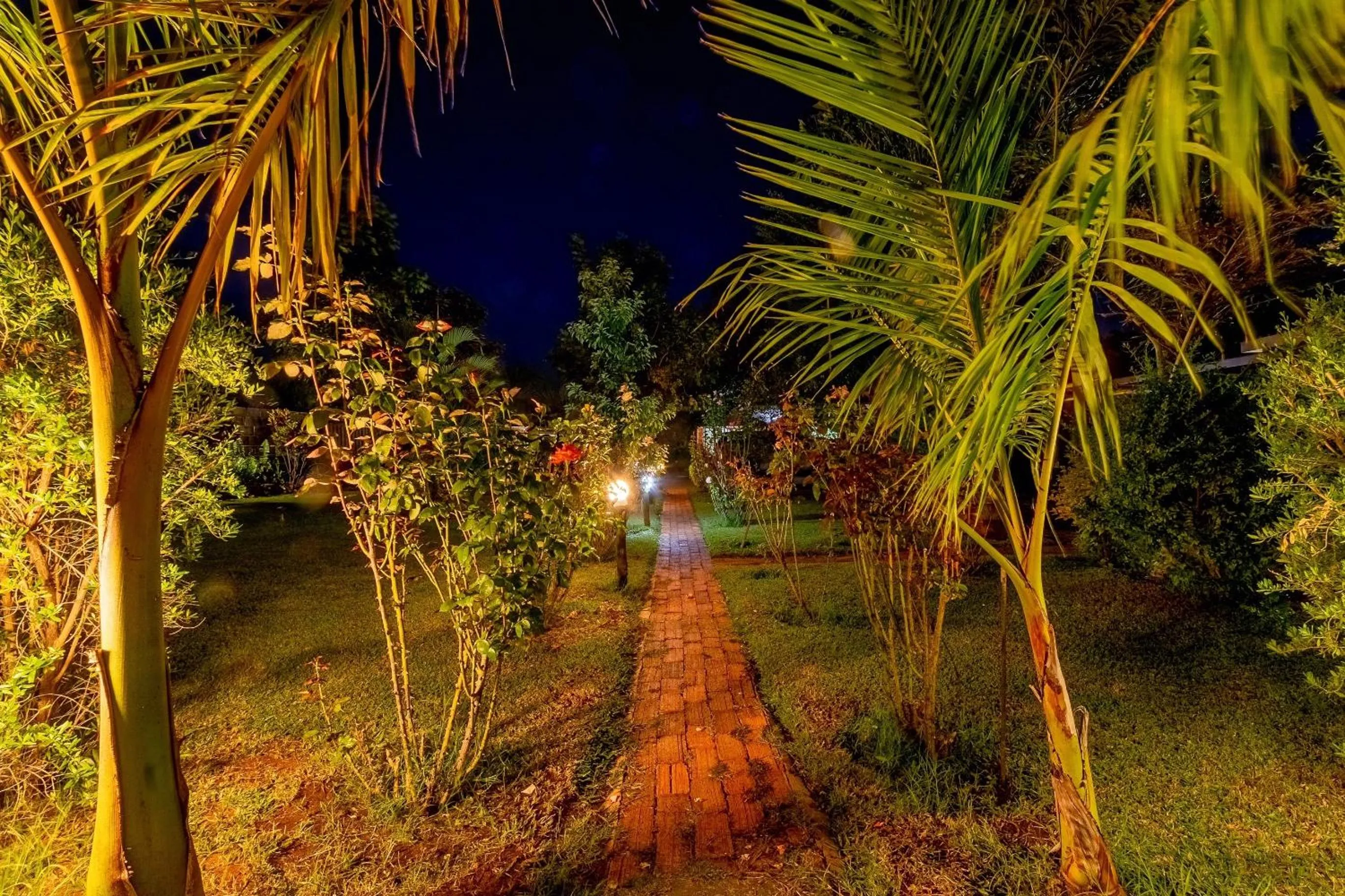 Garden view in Dzimbahwe Guest Lodge