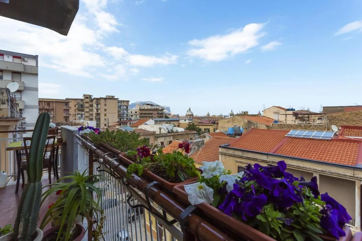 Property building in Stella Maris