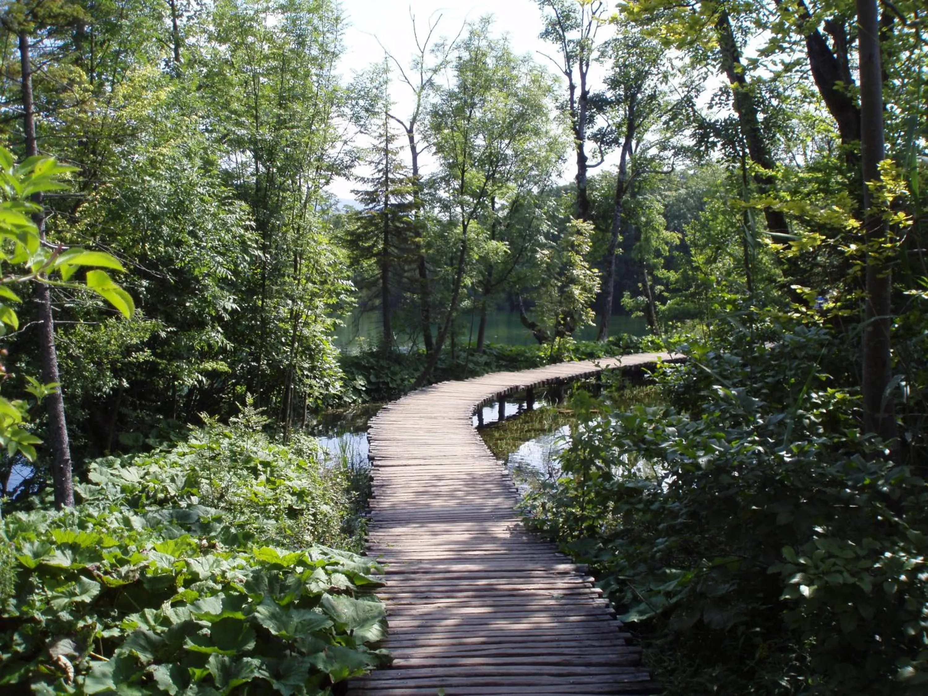 Day in St George B&B