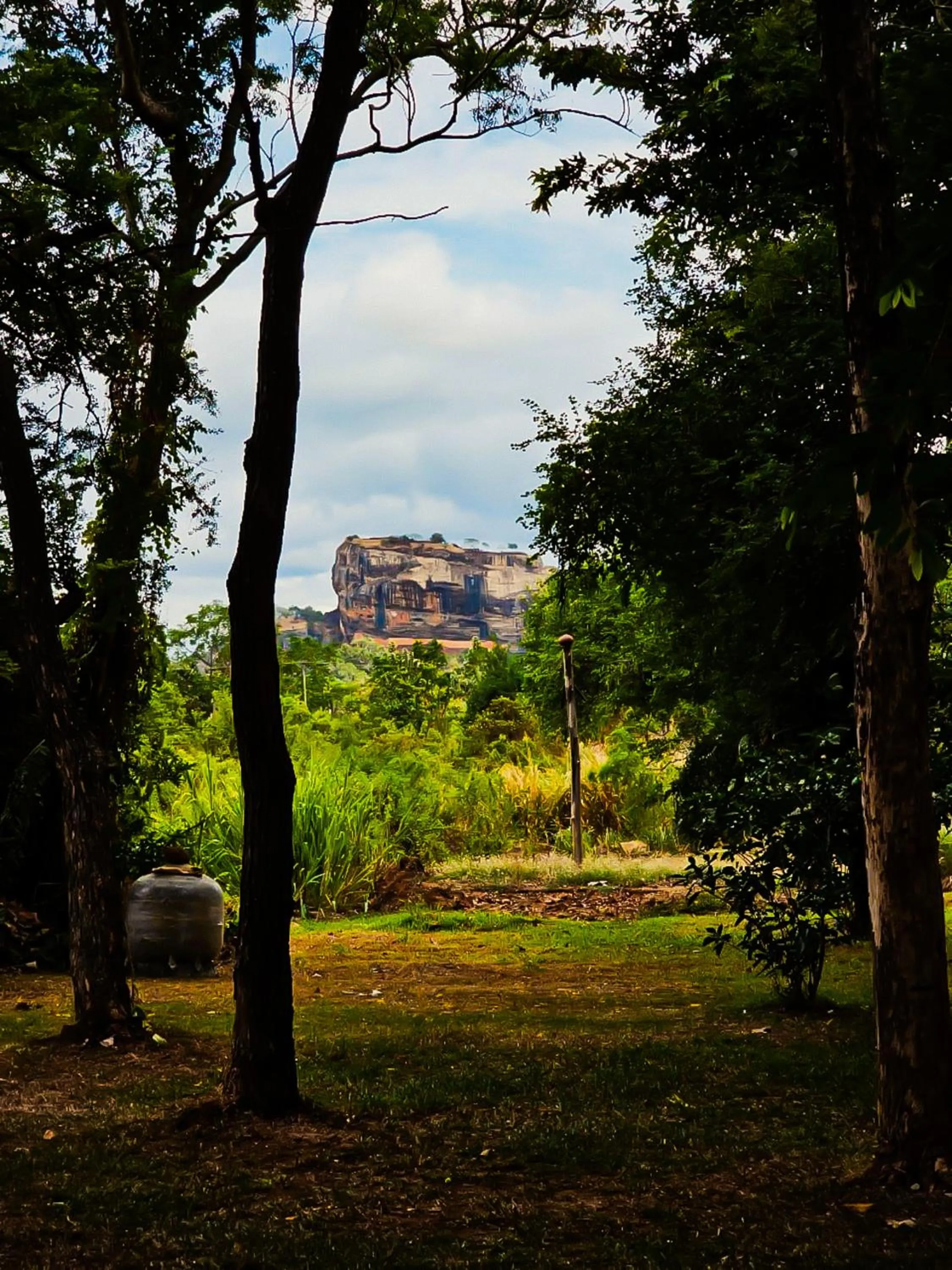 Garden in Ehalagala Lake Resort