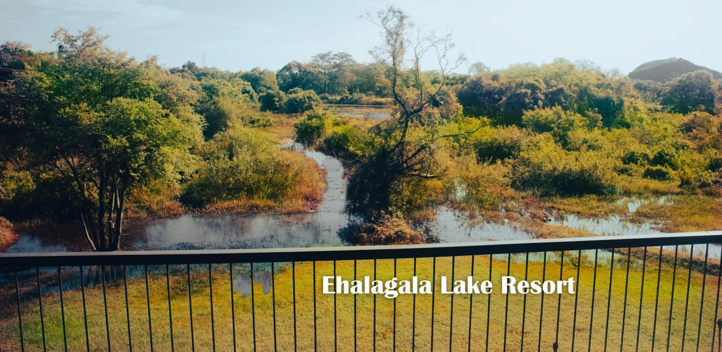 Lake view in Ehalagala Lake Resort