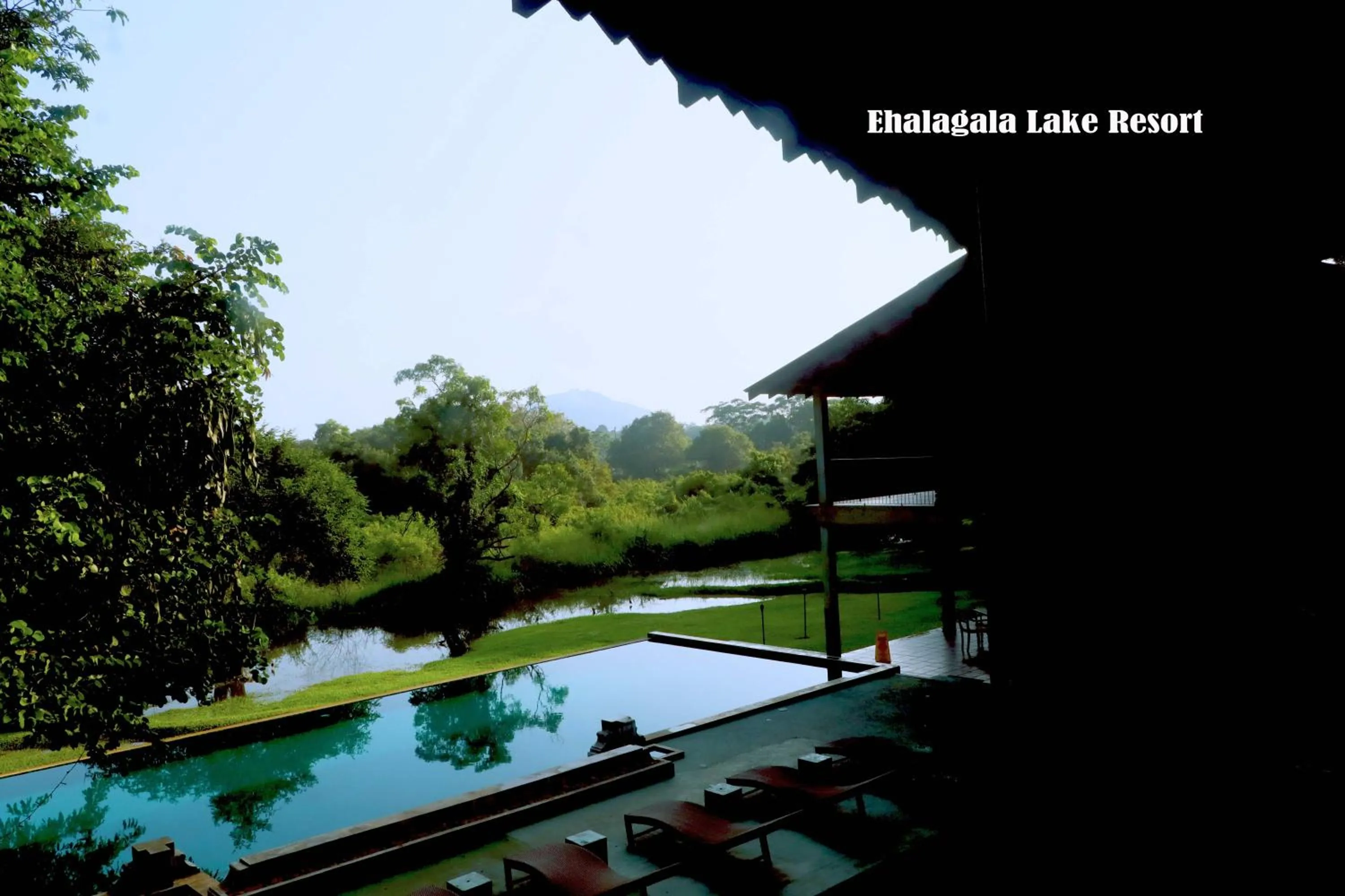 Swimming pool in Ehalagala Lake Resort
