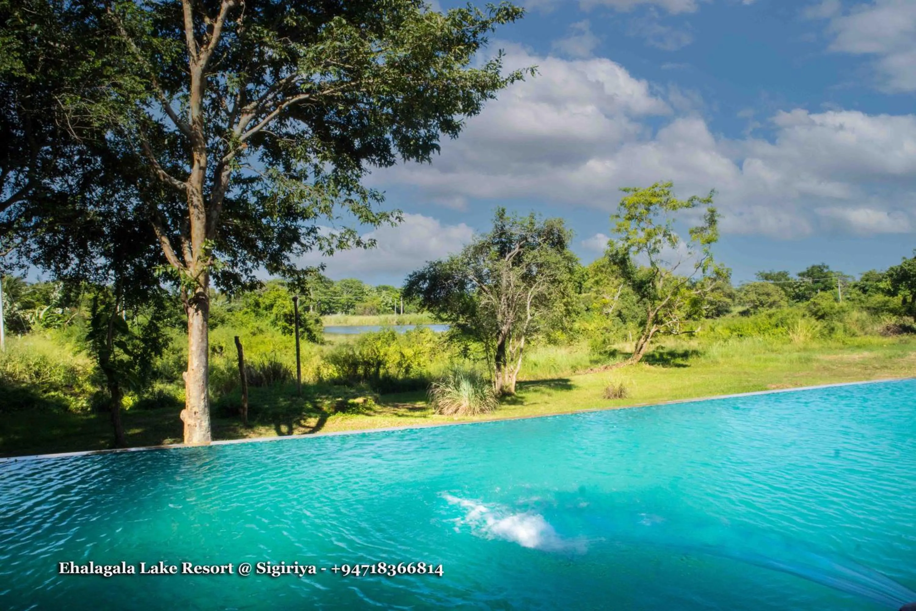 Swimming pool in Ehalagala Lake Resort