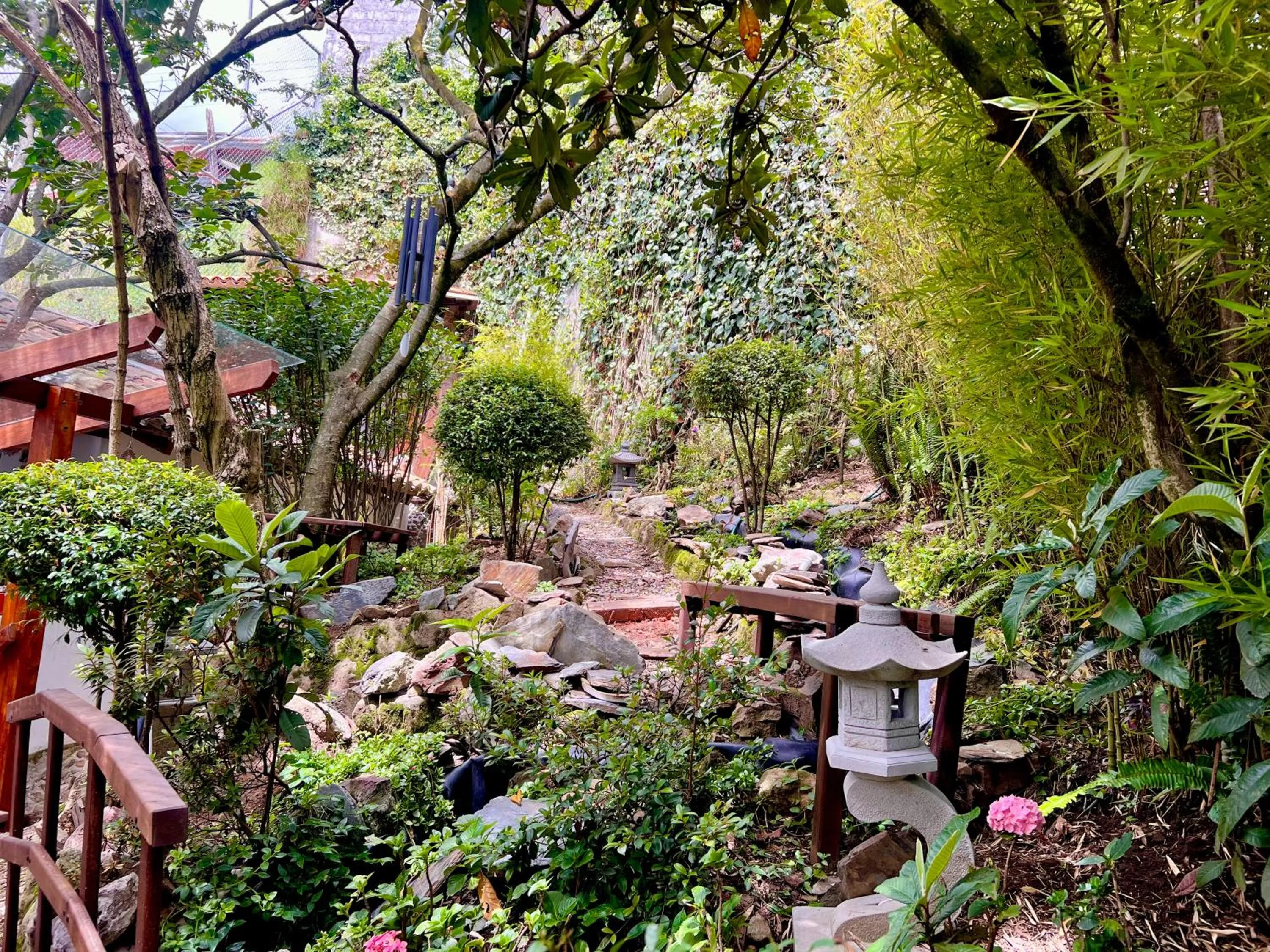 Garden in Vista del Angel Hotel Boutique