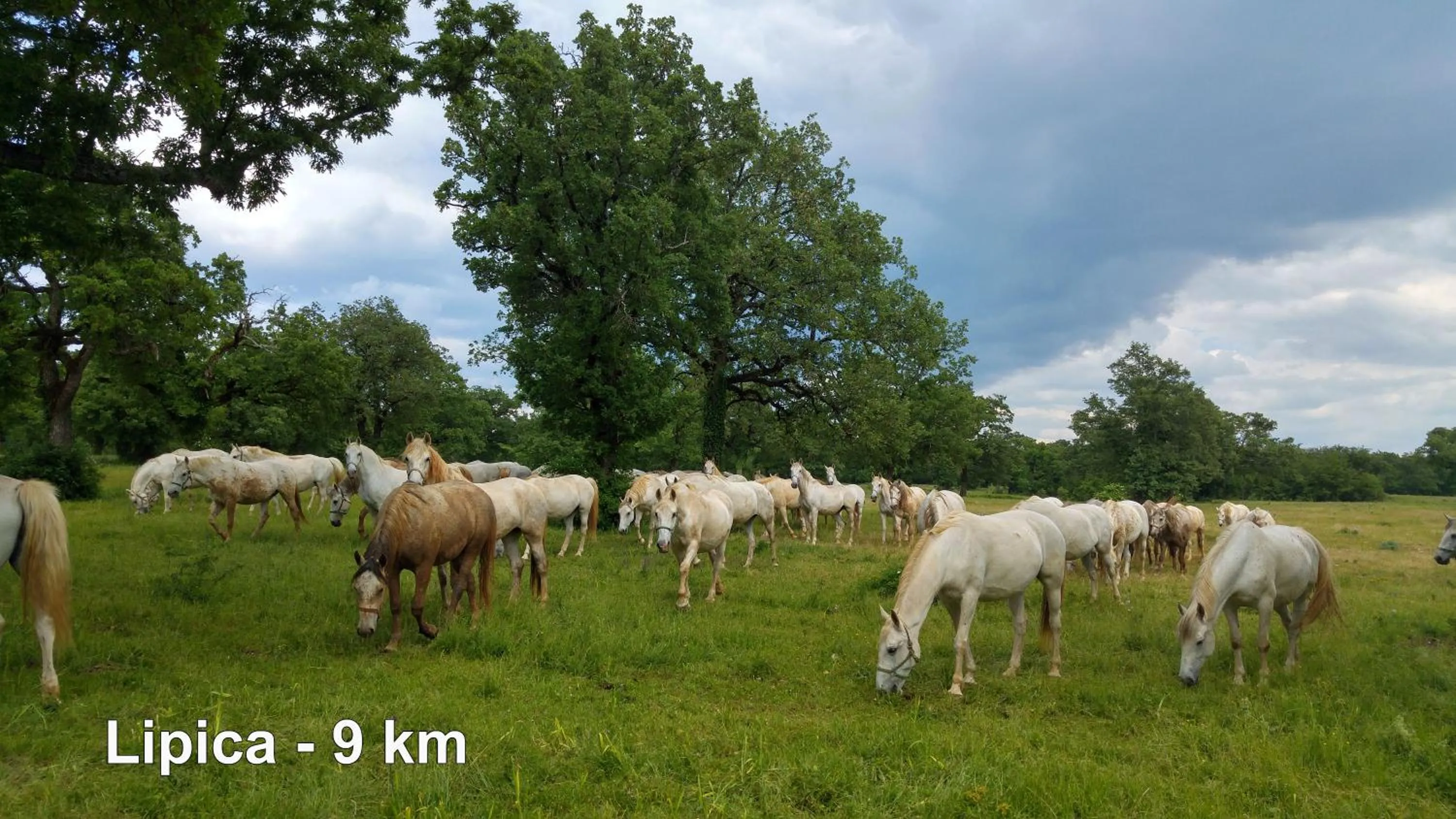 Day in Hotel Malovec