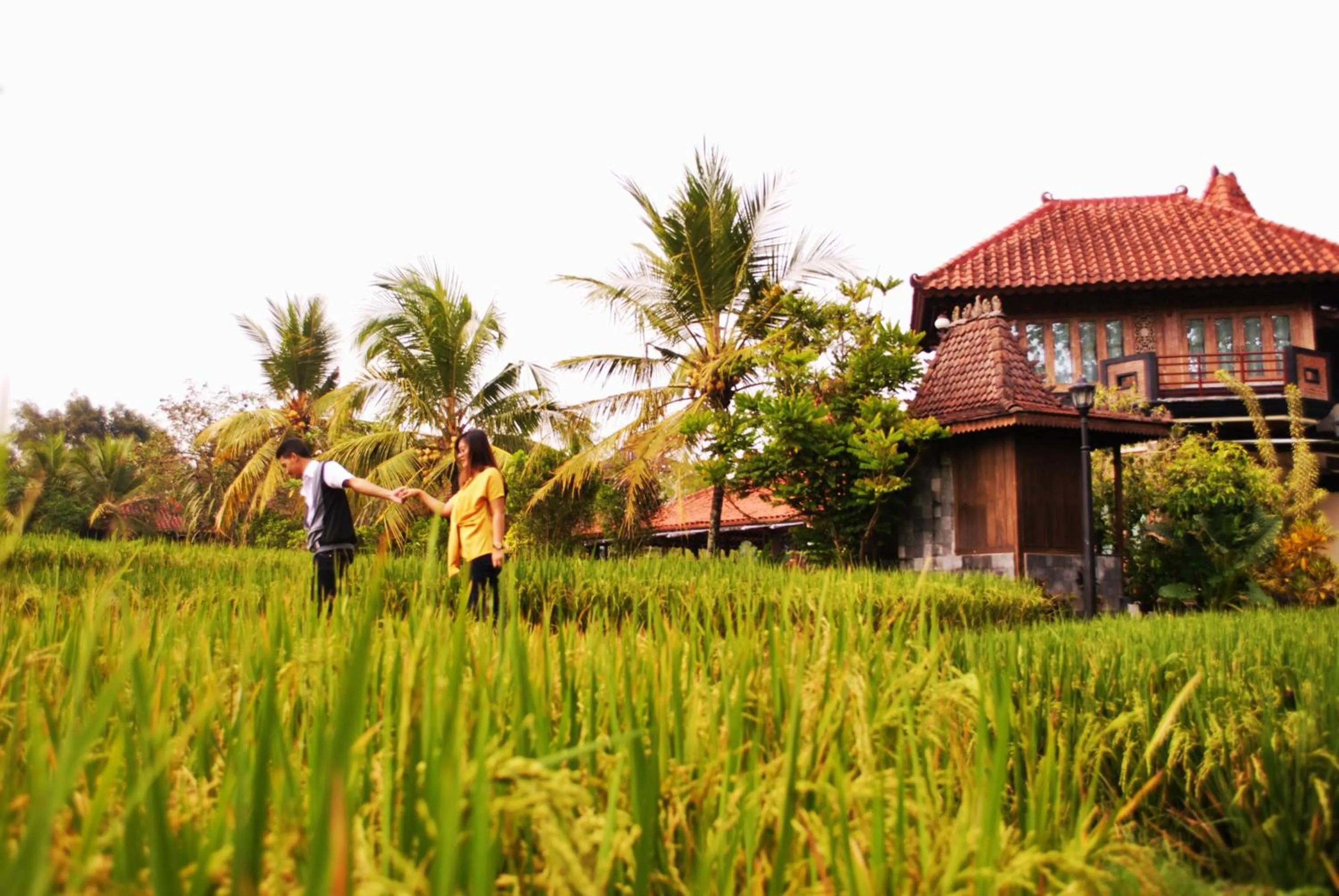 Area and facilities in Java Village Resort Yogyakarta