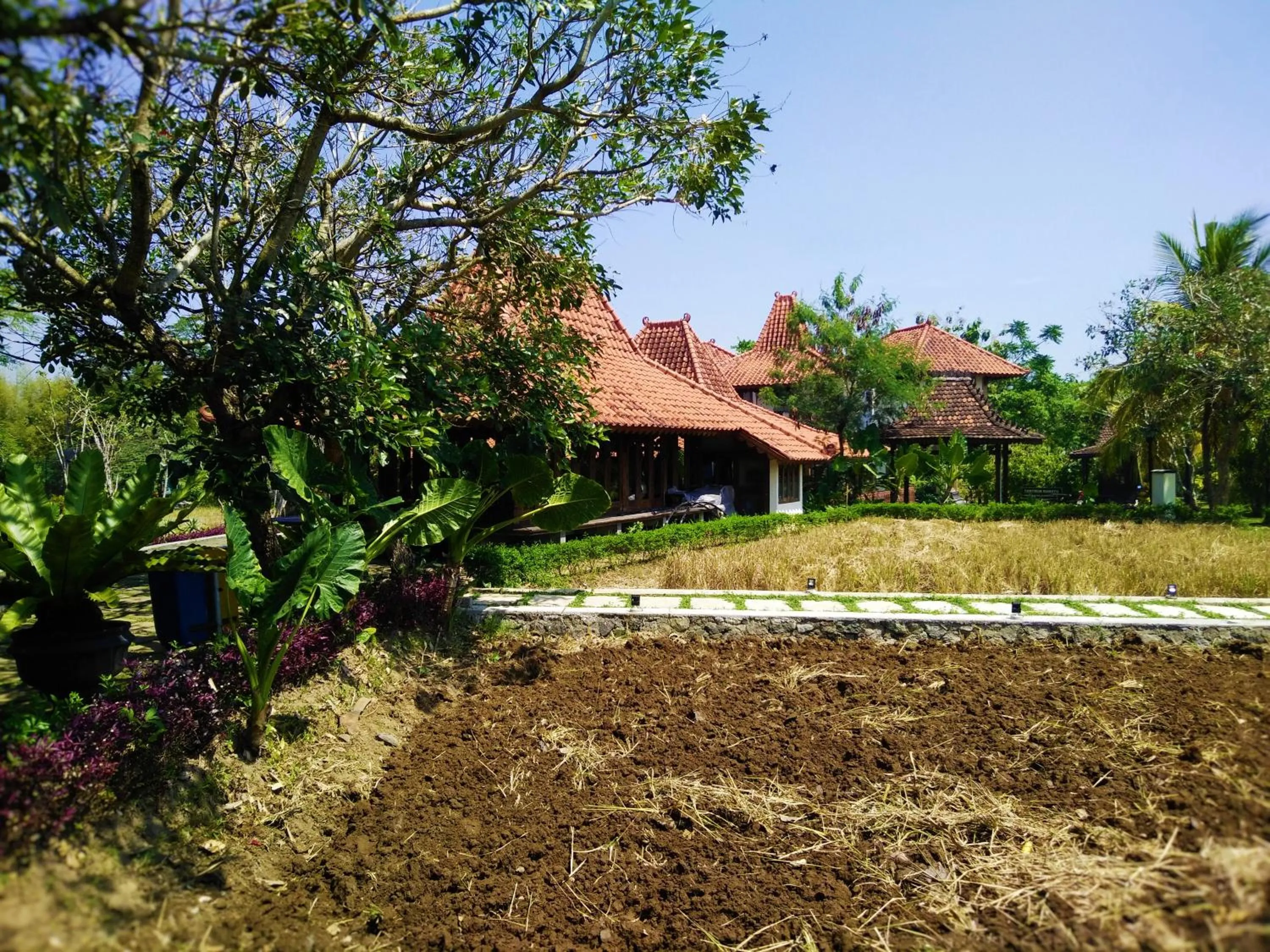 Other in Java Village Resort Yogyakarta