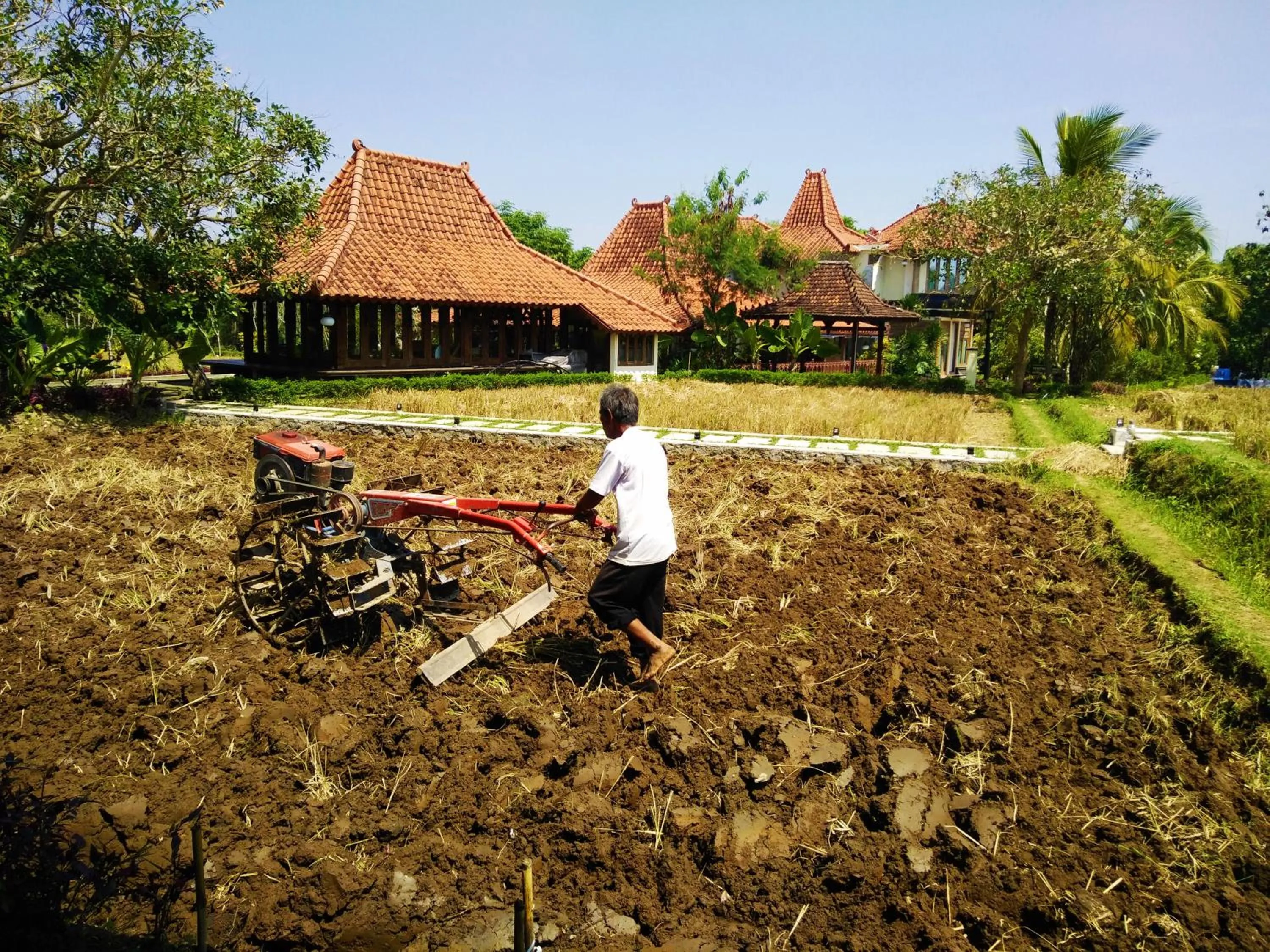 Other in Java Village Resort Yogyakarta