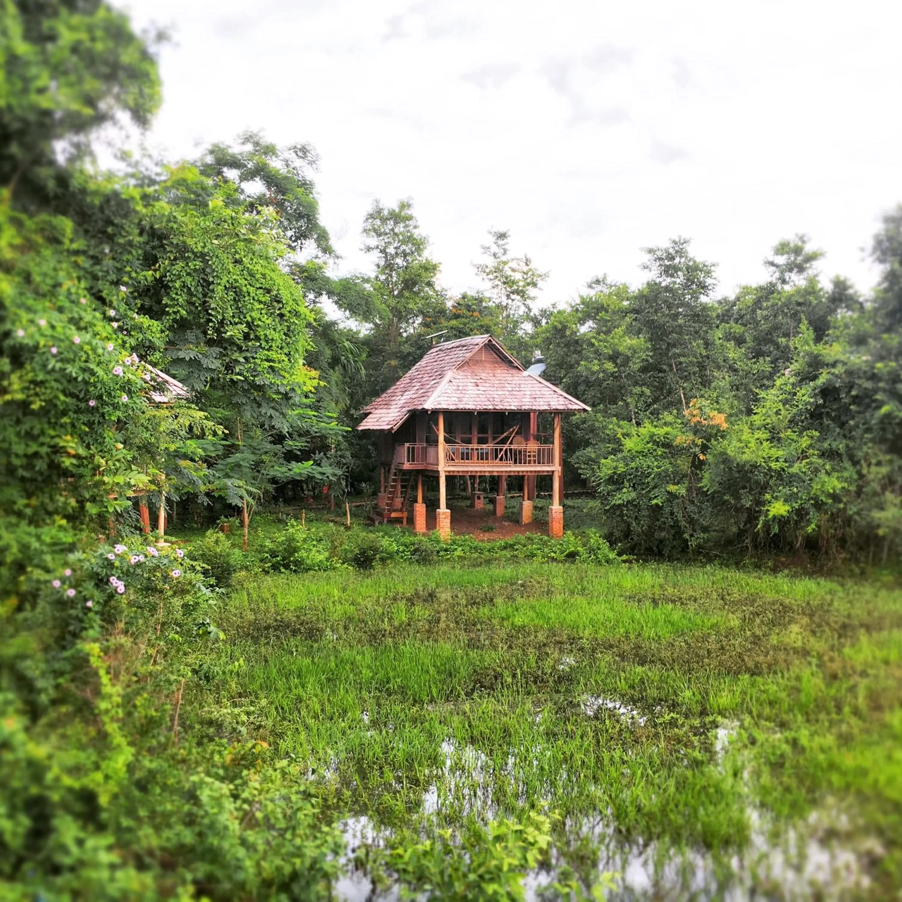 Property building in Kingfisher Ecolodge