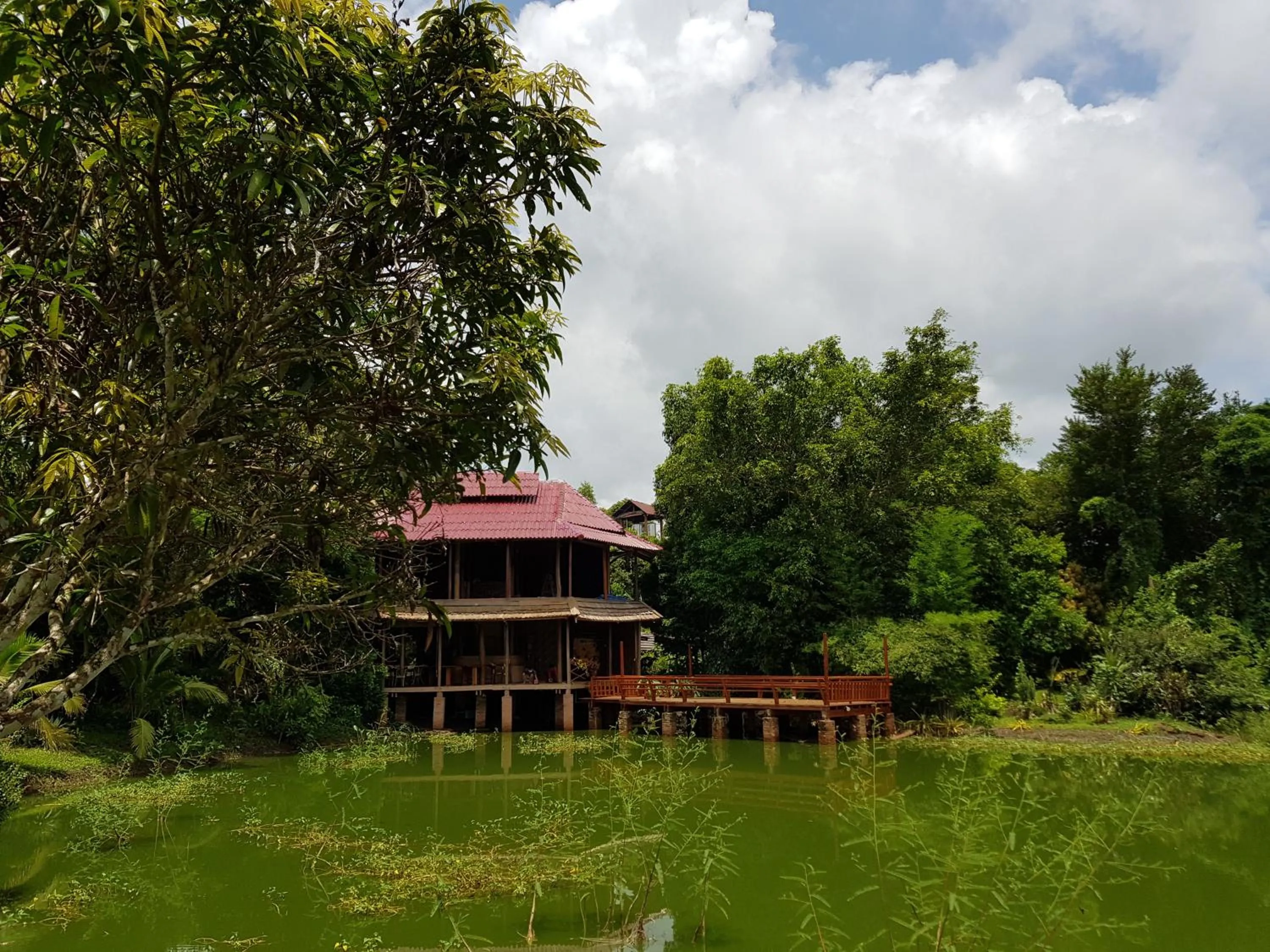 Patio in Kingfisher Ecolodge