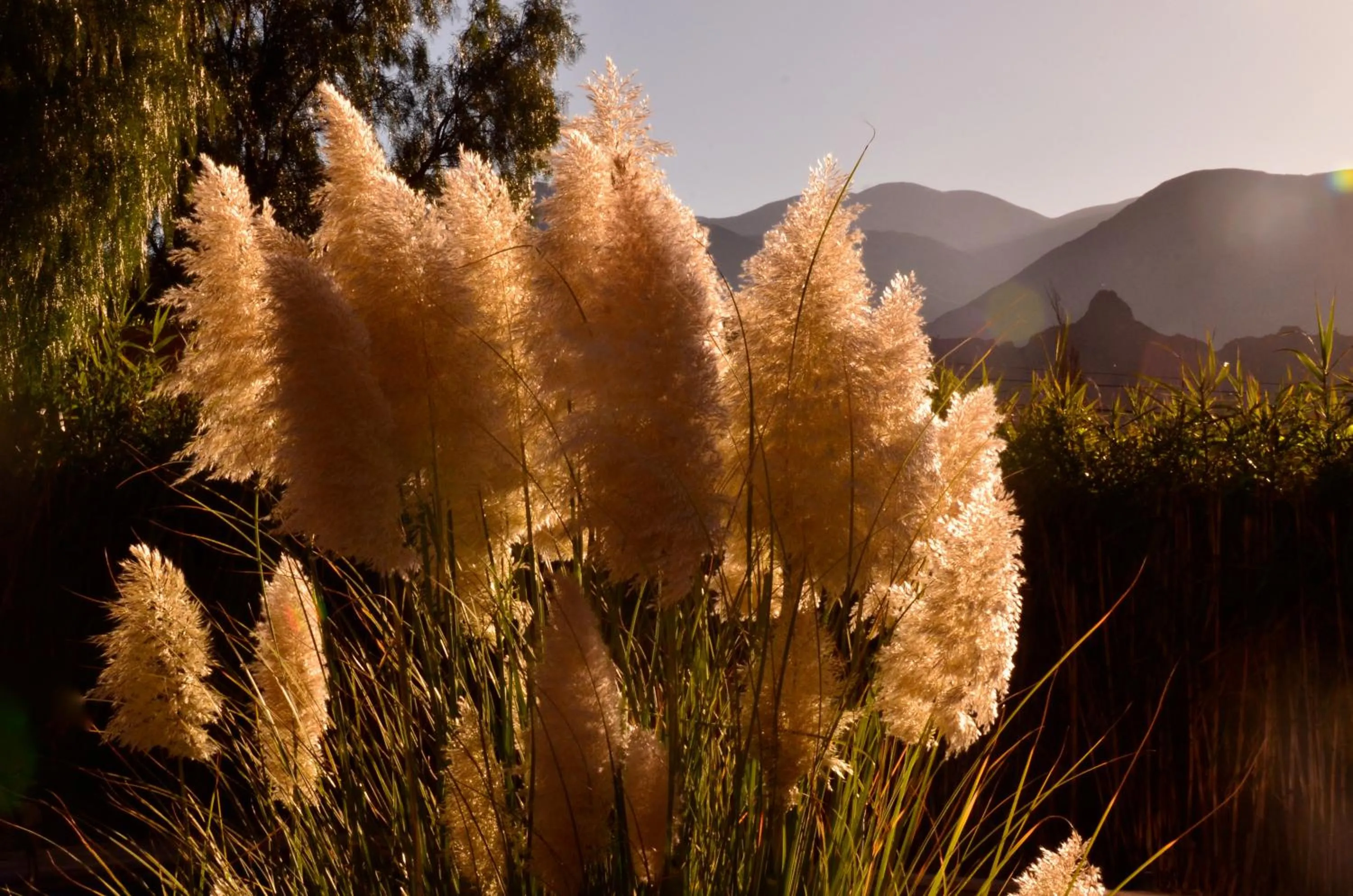 Mountain view in Las Marías Hotel Boutique