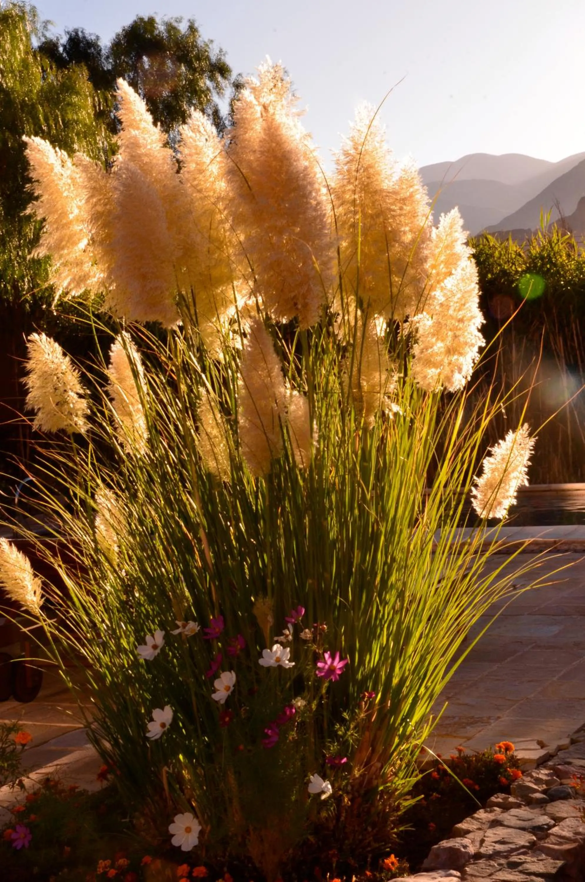 Day in Las Marías Hotel Boutique