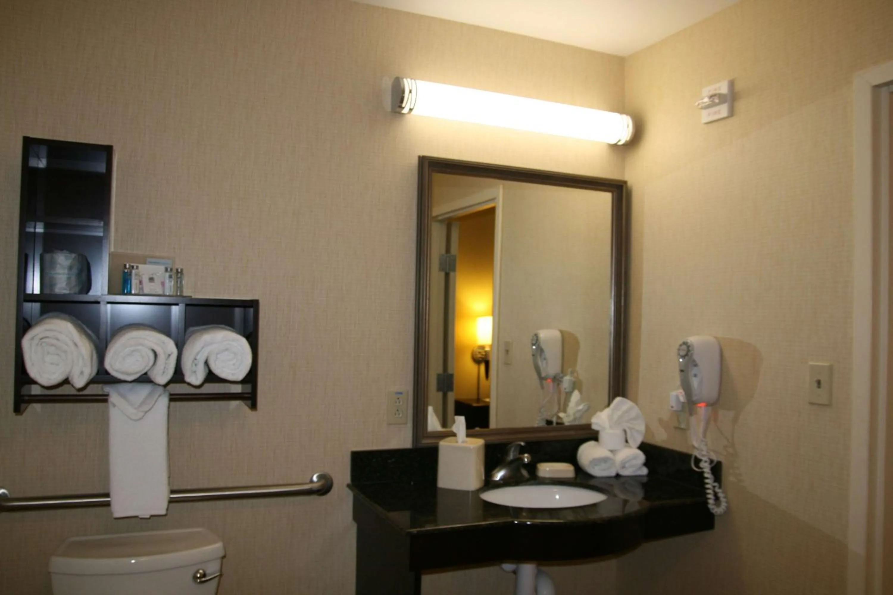Bathroom in Hampton Inn Alpine