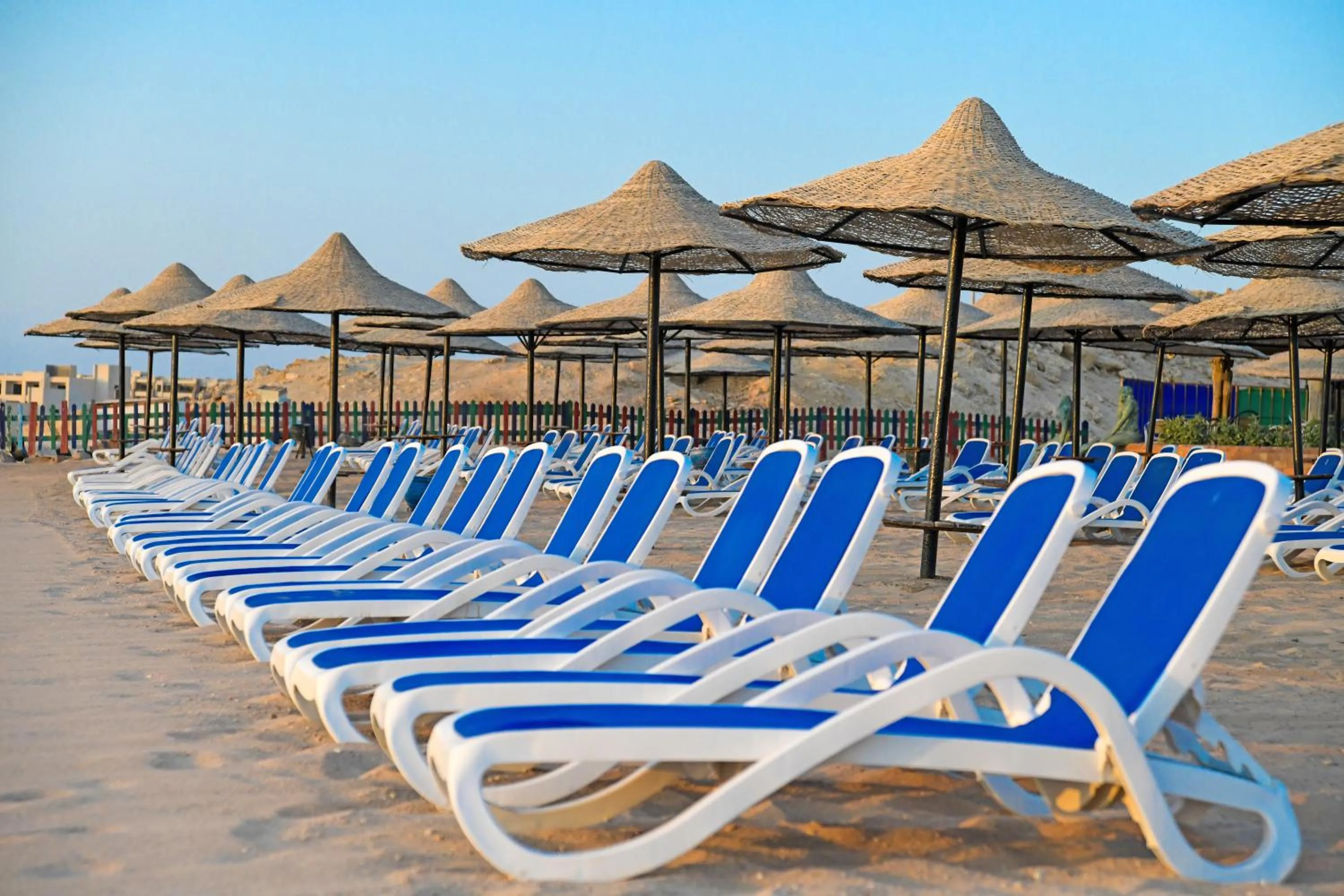 Beach in Ivy Cyrene Sharm Resort Adults Friendly Plus 13