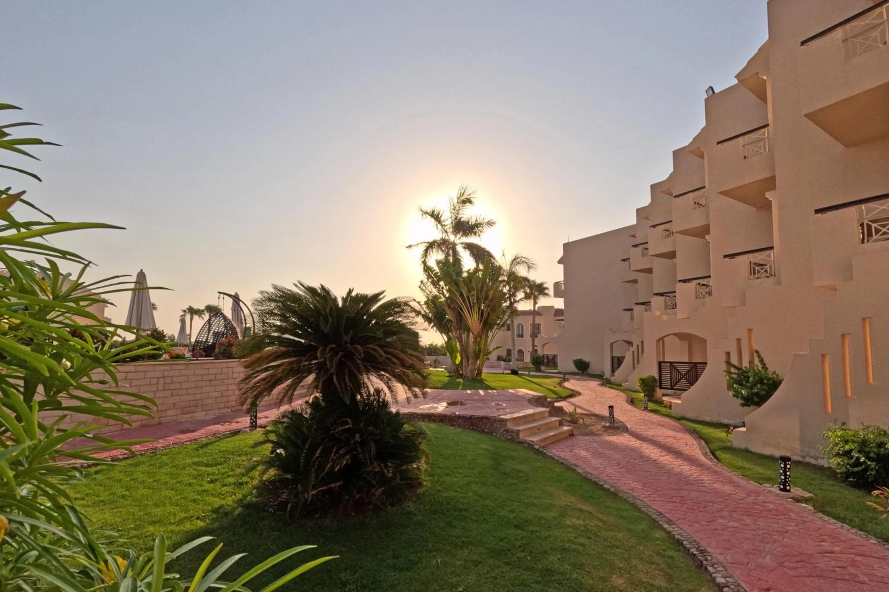 Garden in Ivy Cyrene Sharm Resort Adults Friendly Plus 13