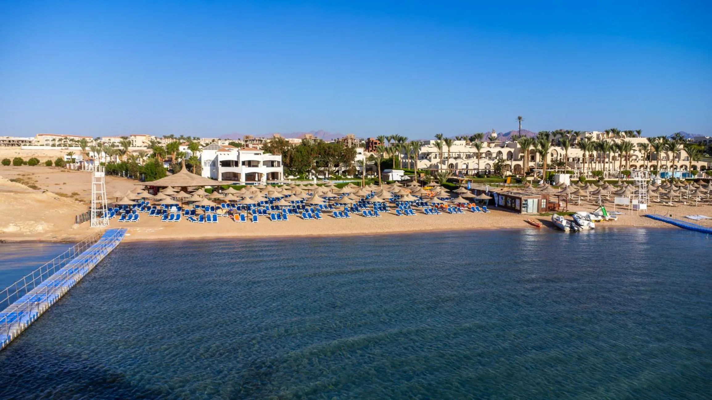 Beach in Ivy Cyrene Sharm Resort Adults Friendly Plus 13