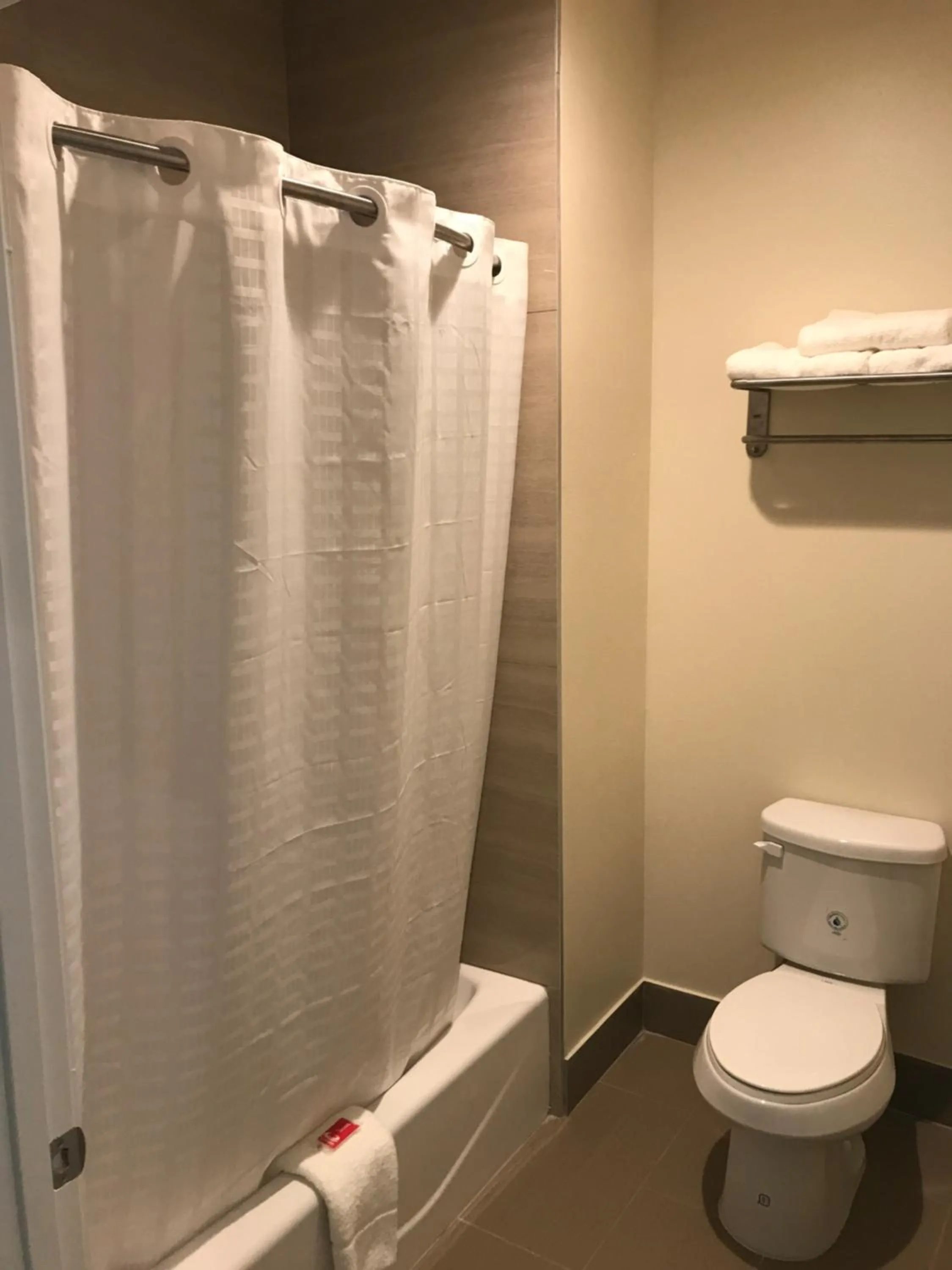 Toilet in Econo Lodge Inn & Suites Houston Willowbrook