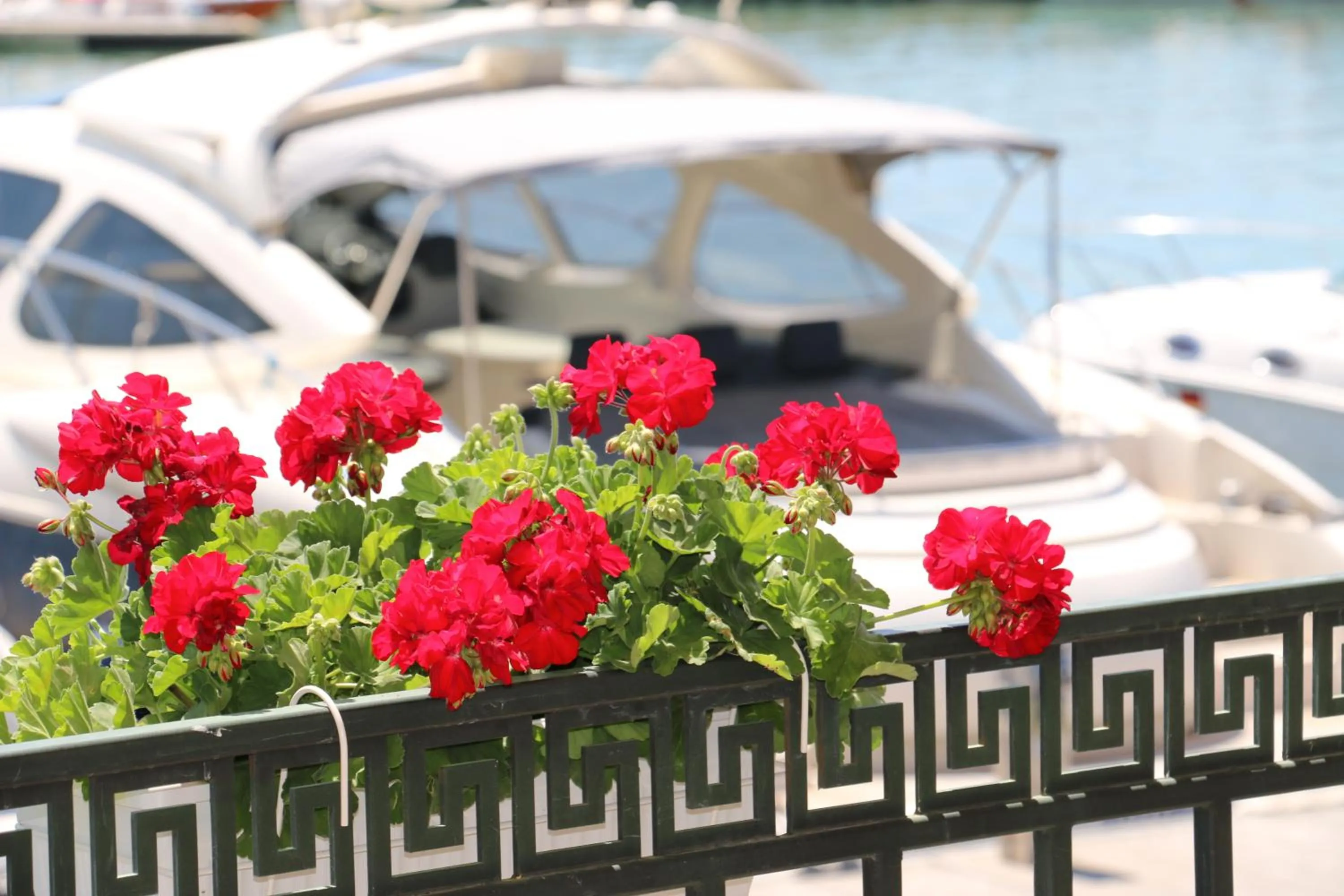 Balcony/Terrace in Hotel Mistral