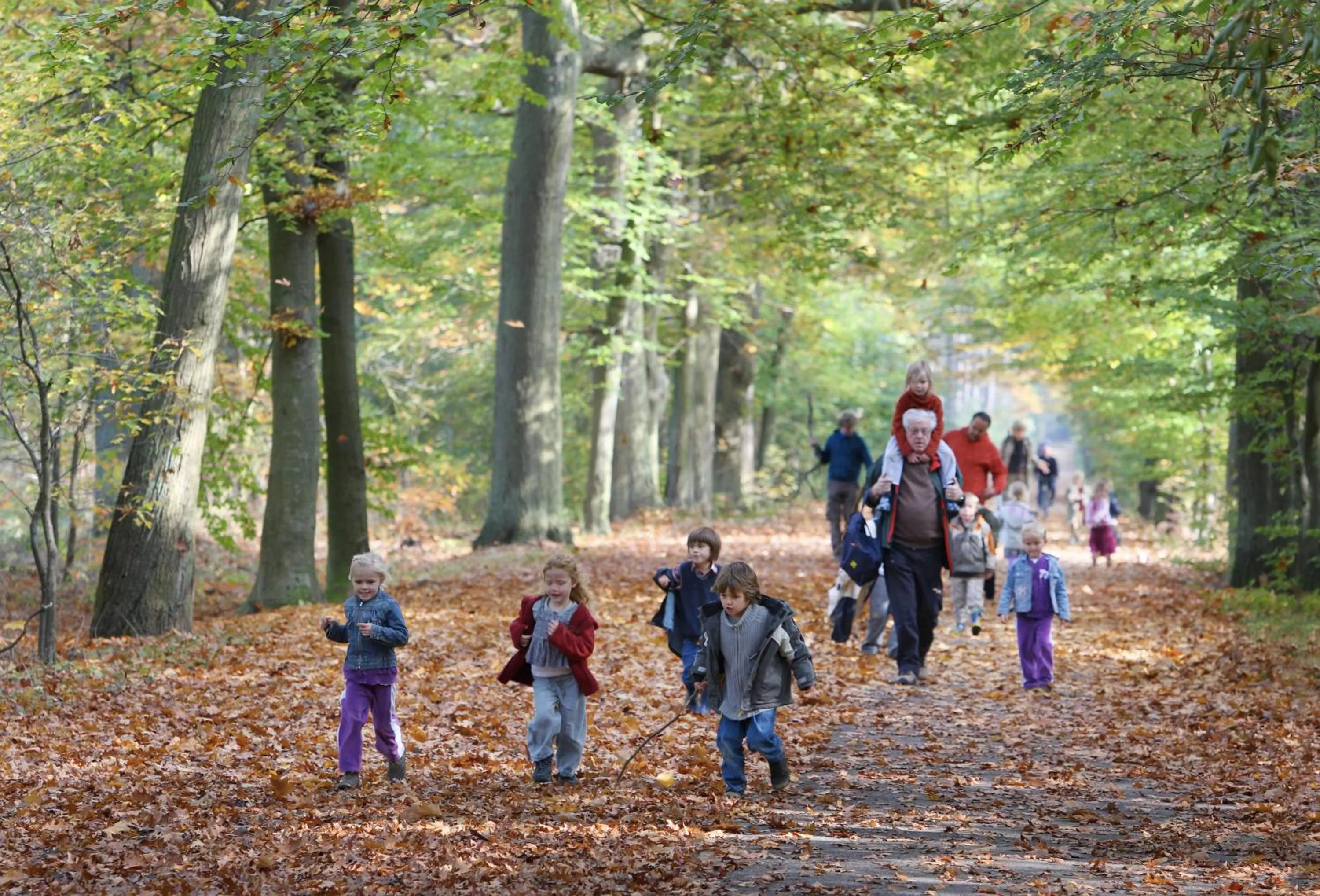 Natural landscape in Drouwenerzand Hotel
