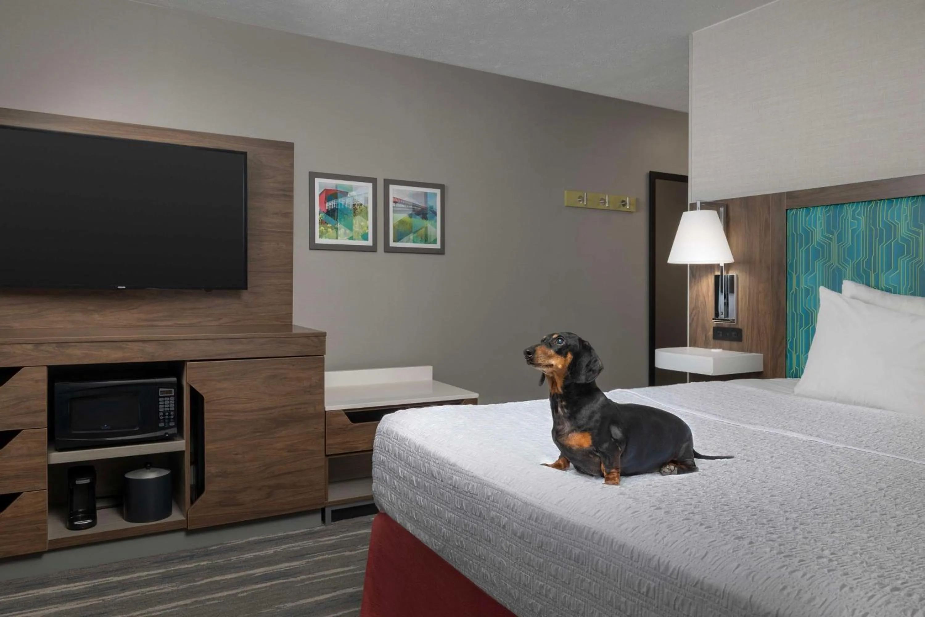 Queen Room with Two Queen Beds - Mobility Access/Non-Smoking in Hampton Inn Waterloo