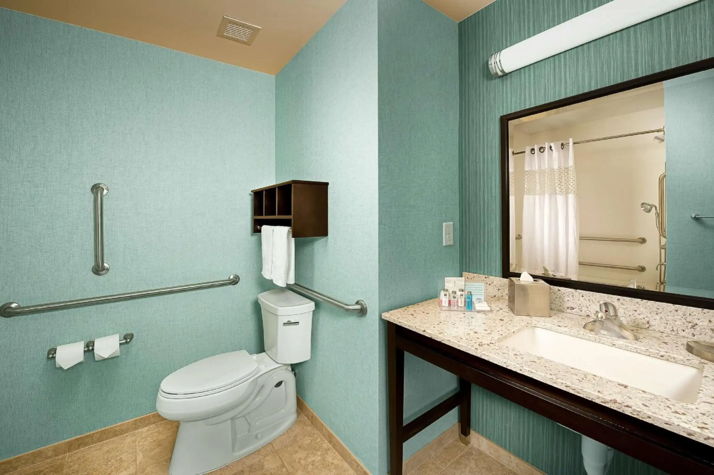 King Room with Accessible Tub - Mobility and Hearing Access/Non-Smoking in Hampton Inn Pampa King Room with Accessible Tub - Mobility and Hearing Access/Non-Smoking in Hampton Inn Pampa