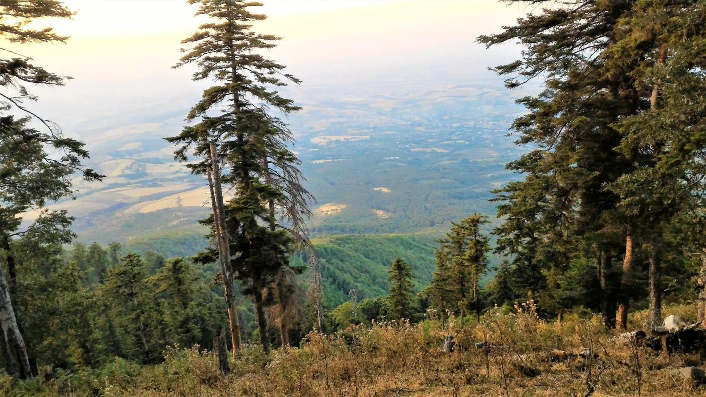 Hiking in Casa Isabela luxury rooms