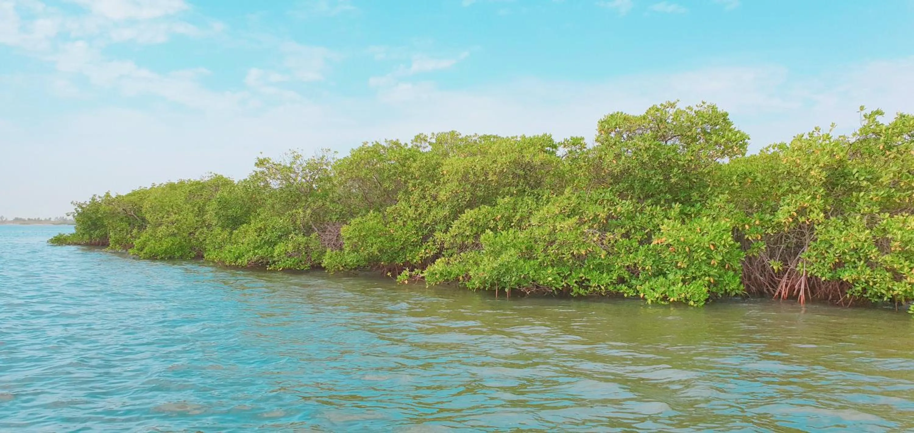 Natural landscape in Campement Hakuna Lodge
