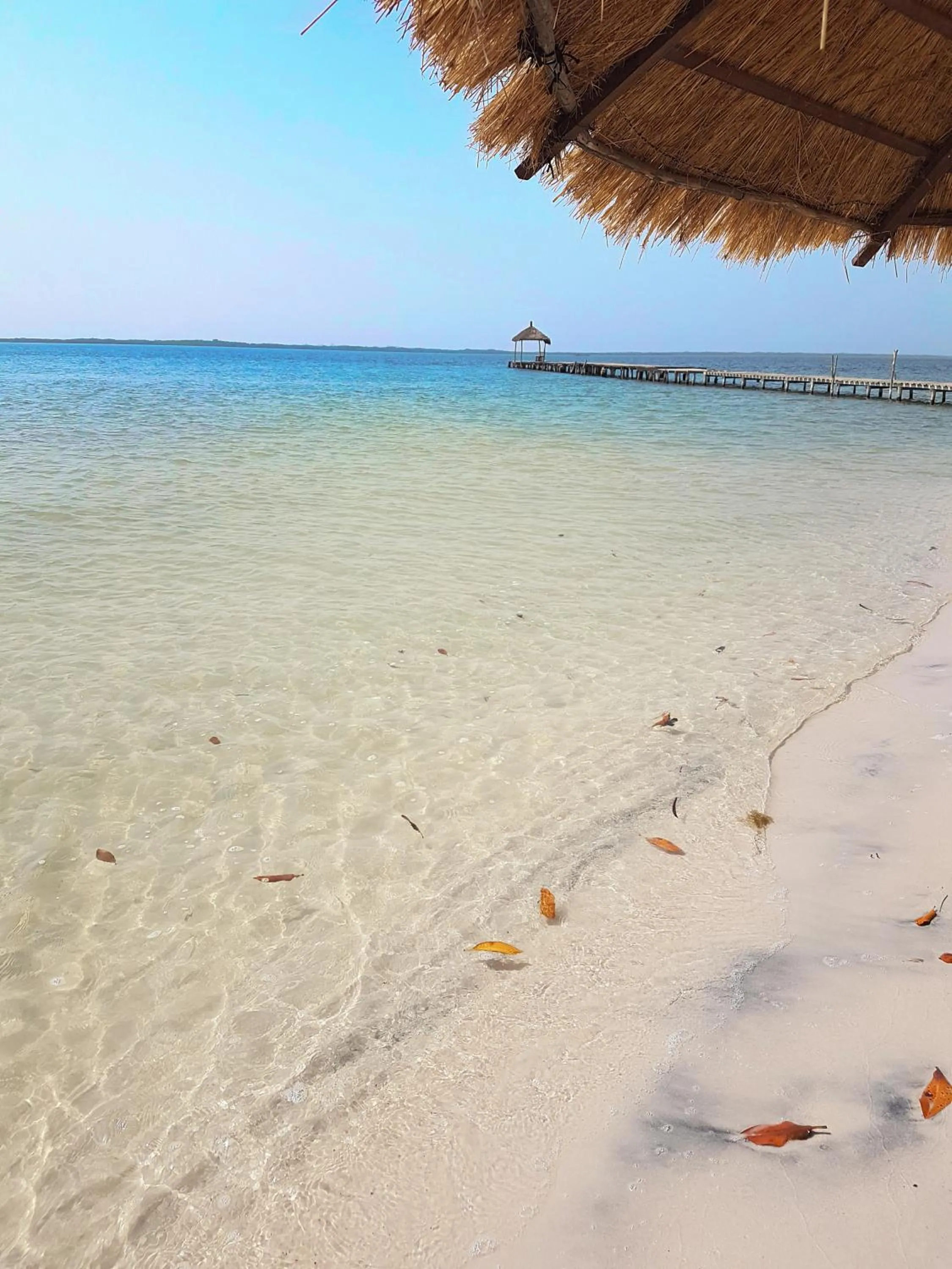 Day in Campement Hakuna Lodge