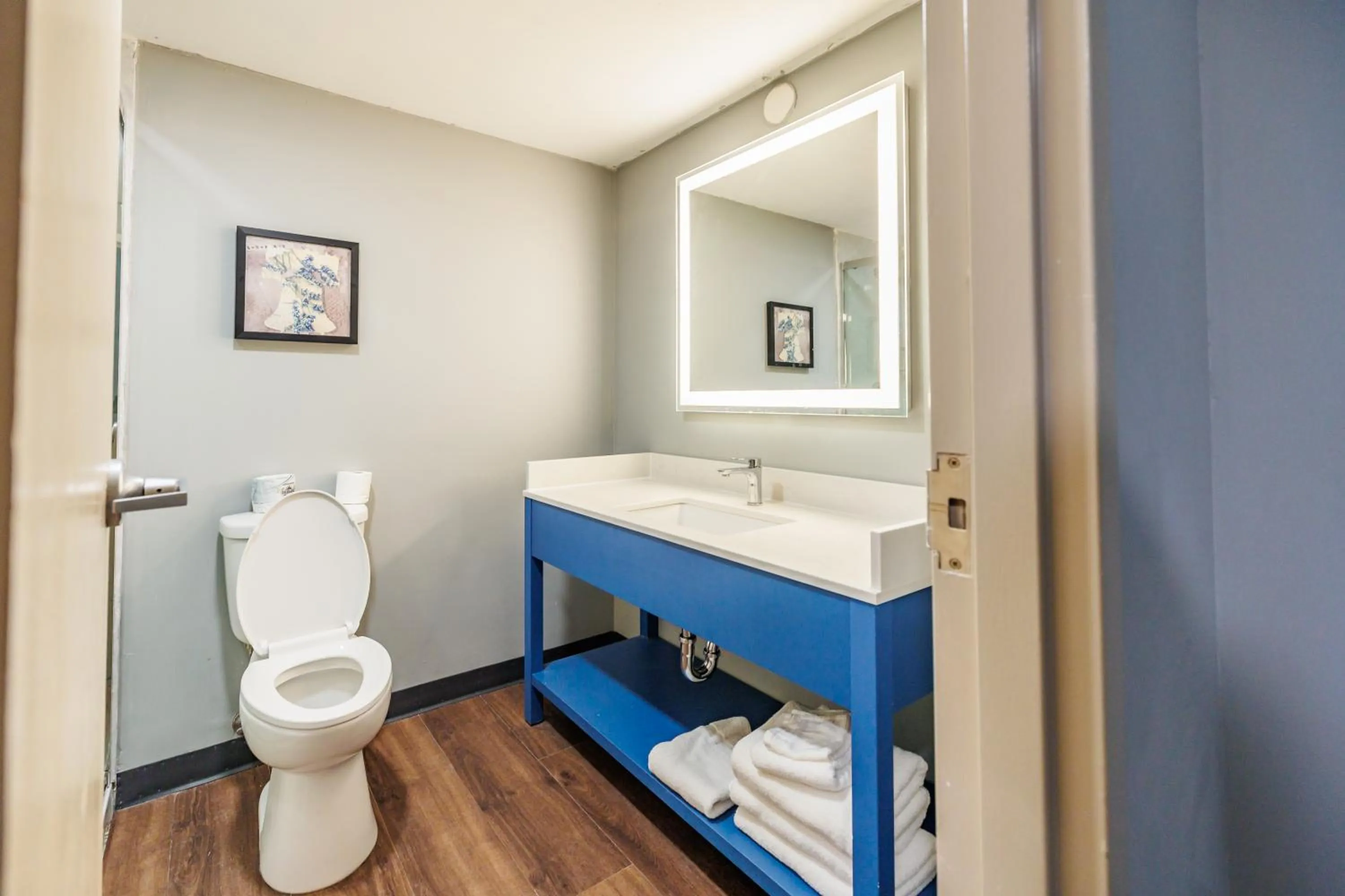 Toilet in AmericInn by Wyndham Omaha Near Zoo