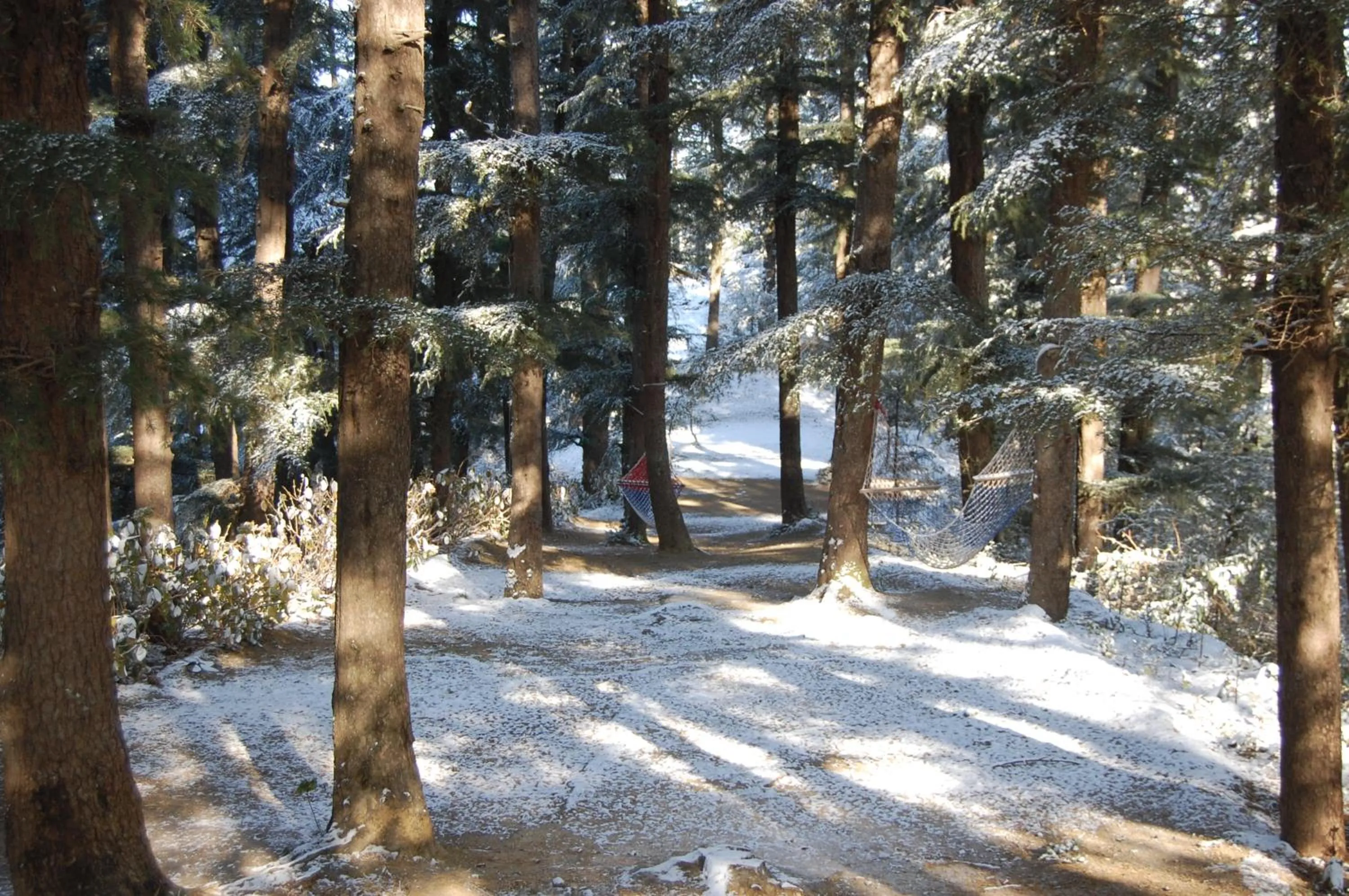 Facade/entrance in The Chalets Naldehra
