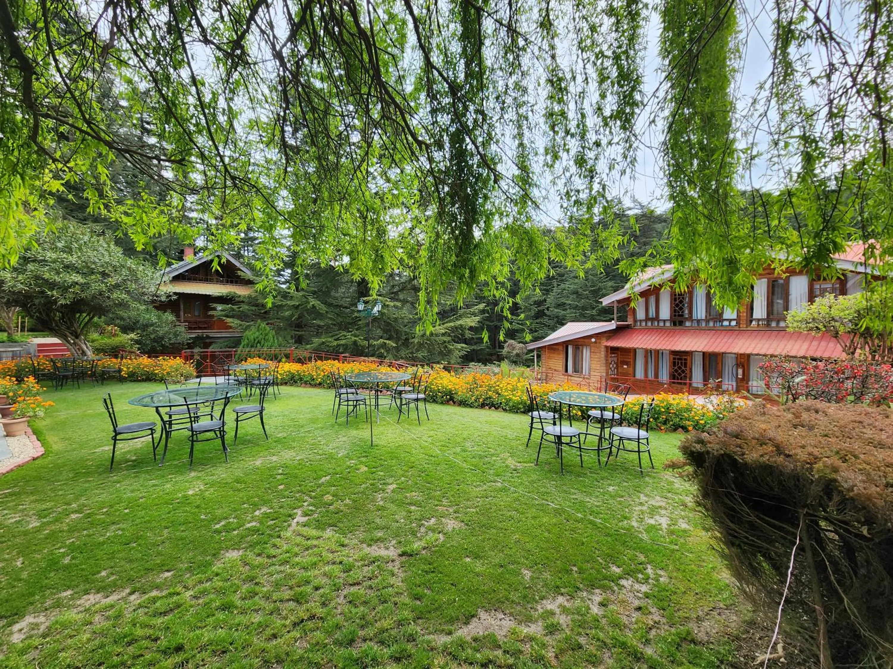 Garden in The Chalets Naldehra