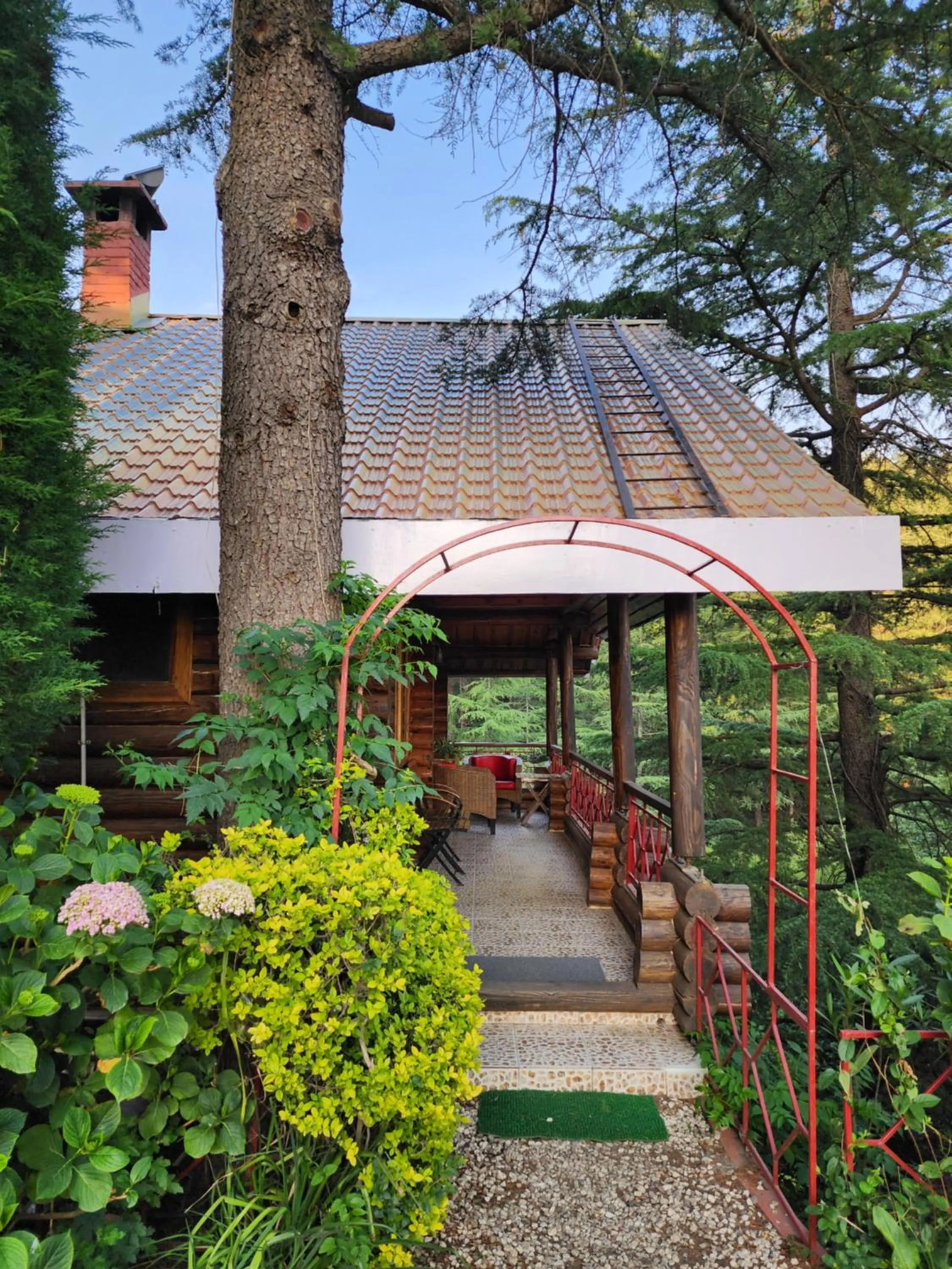 The Chalets Naldehra