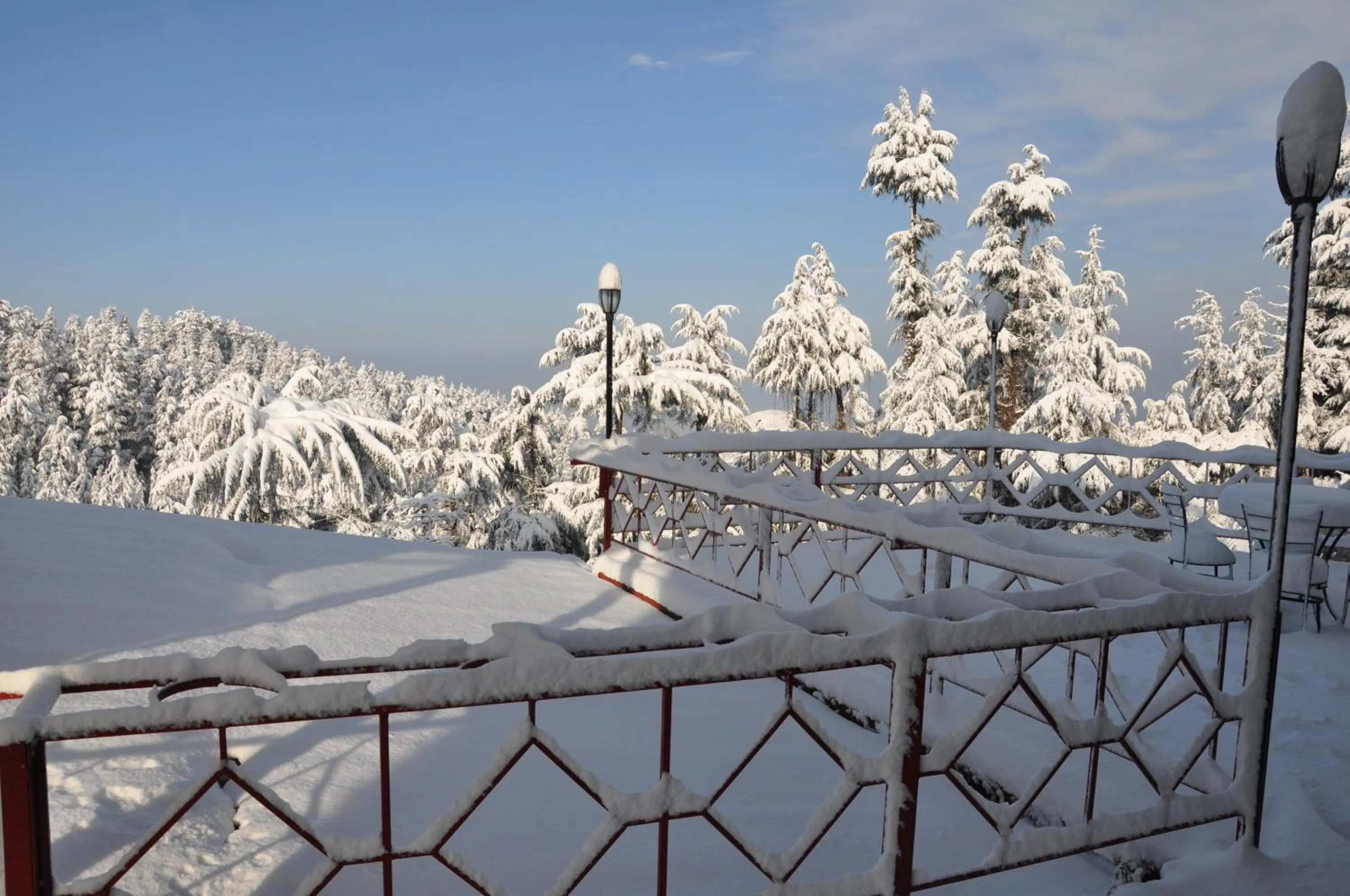 Natural landscape in The Chalets Naldehra