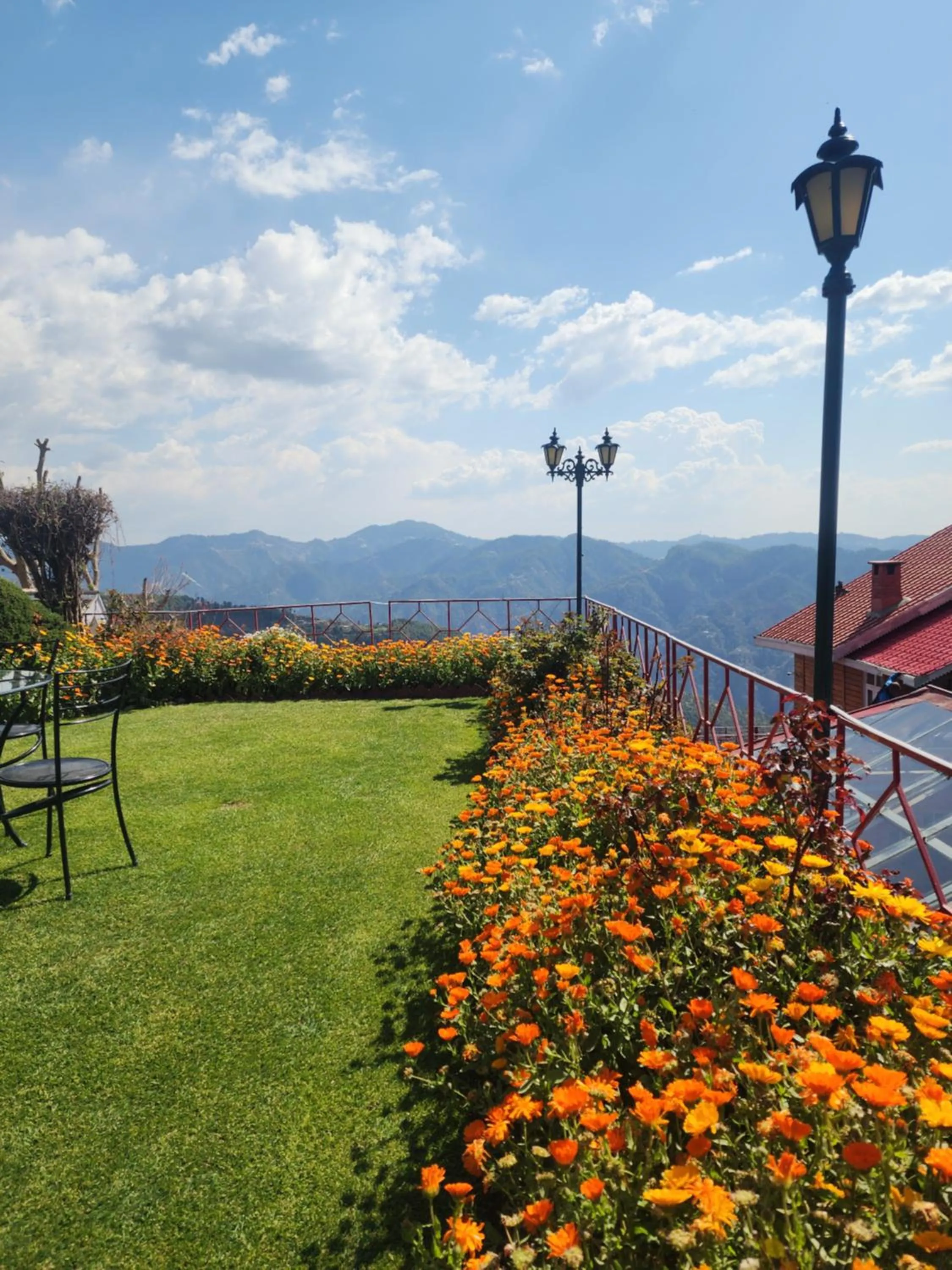 The Chalets Naldehra