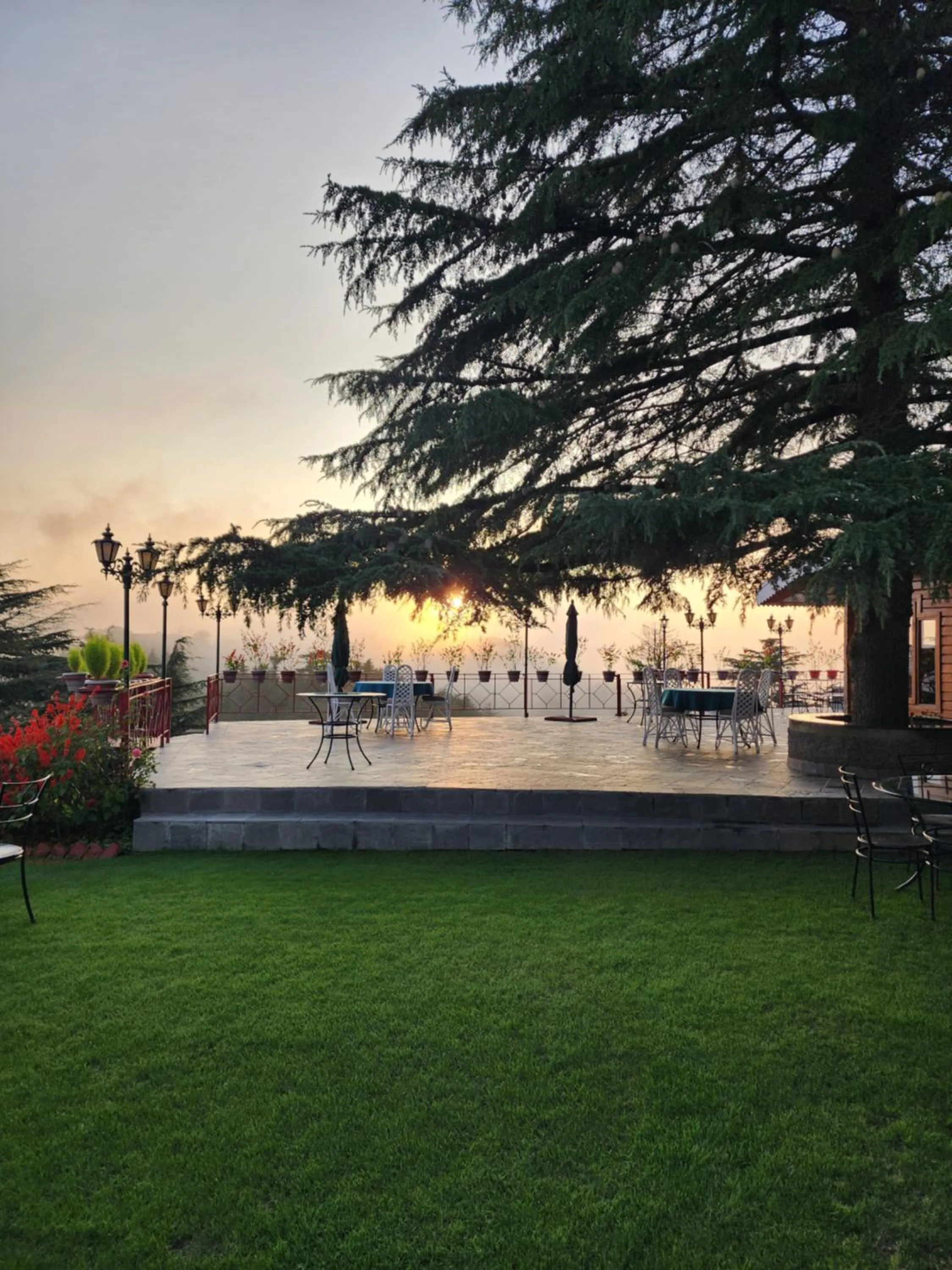 The Chalets Naldehra