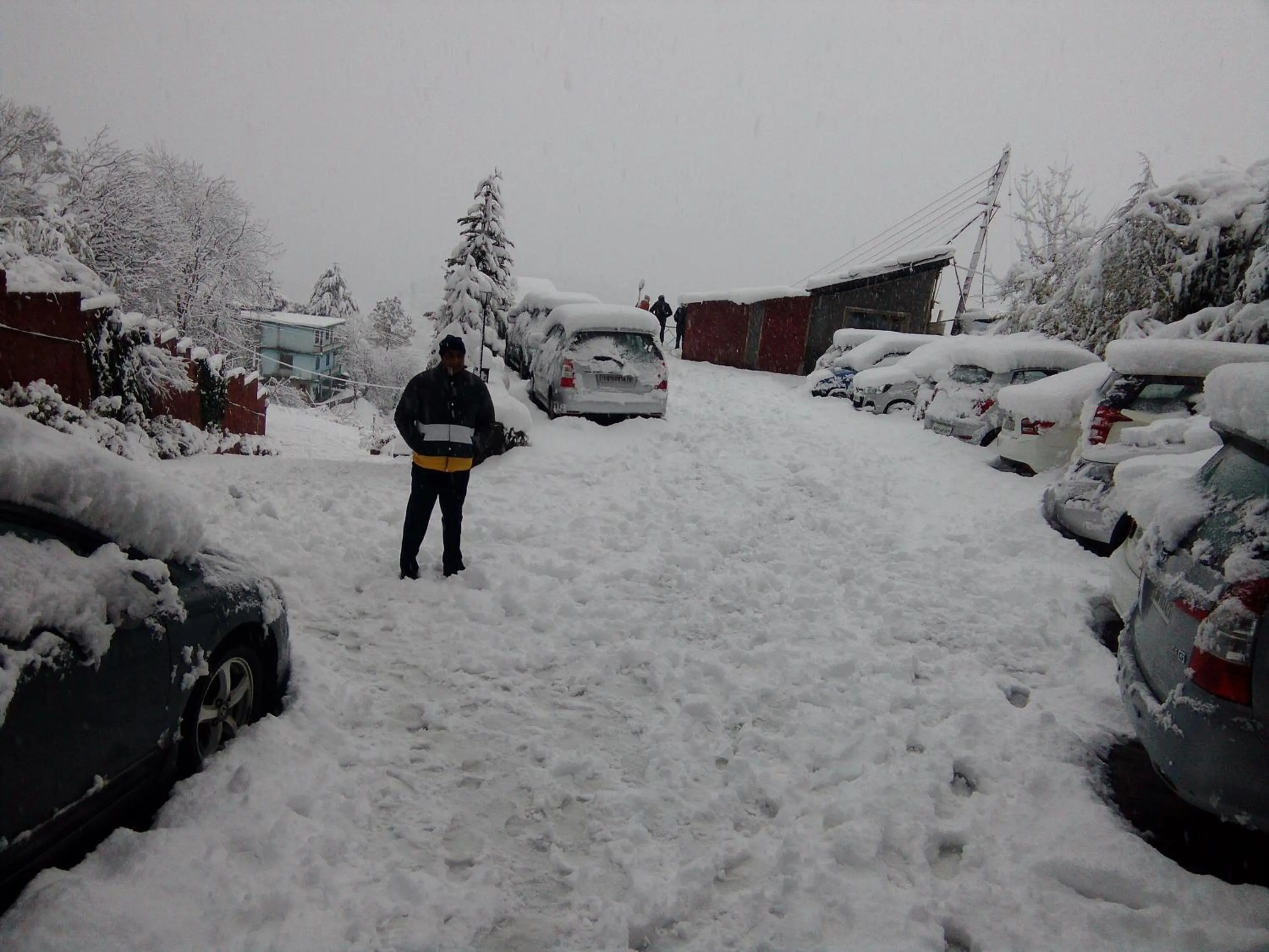 Natural landscape in The Chalets Naldehra
