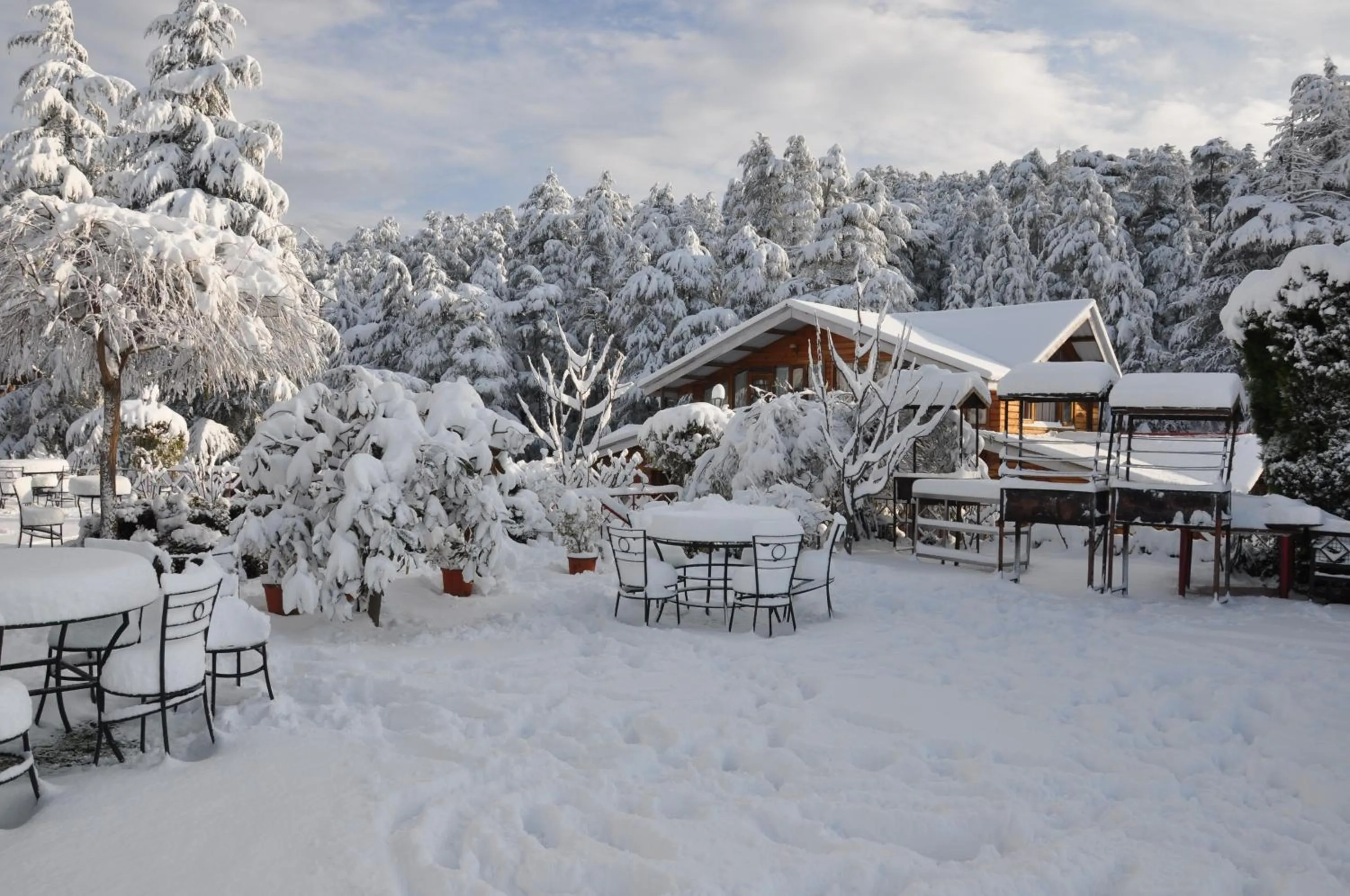 Property building in The Chalets Naldehra