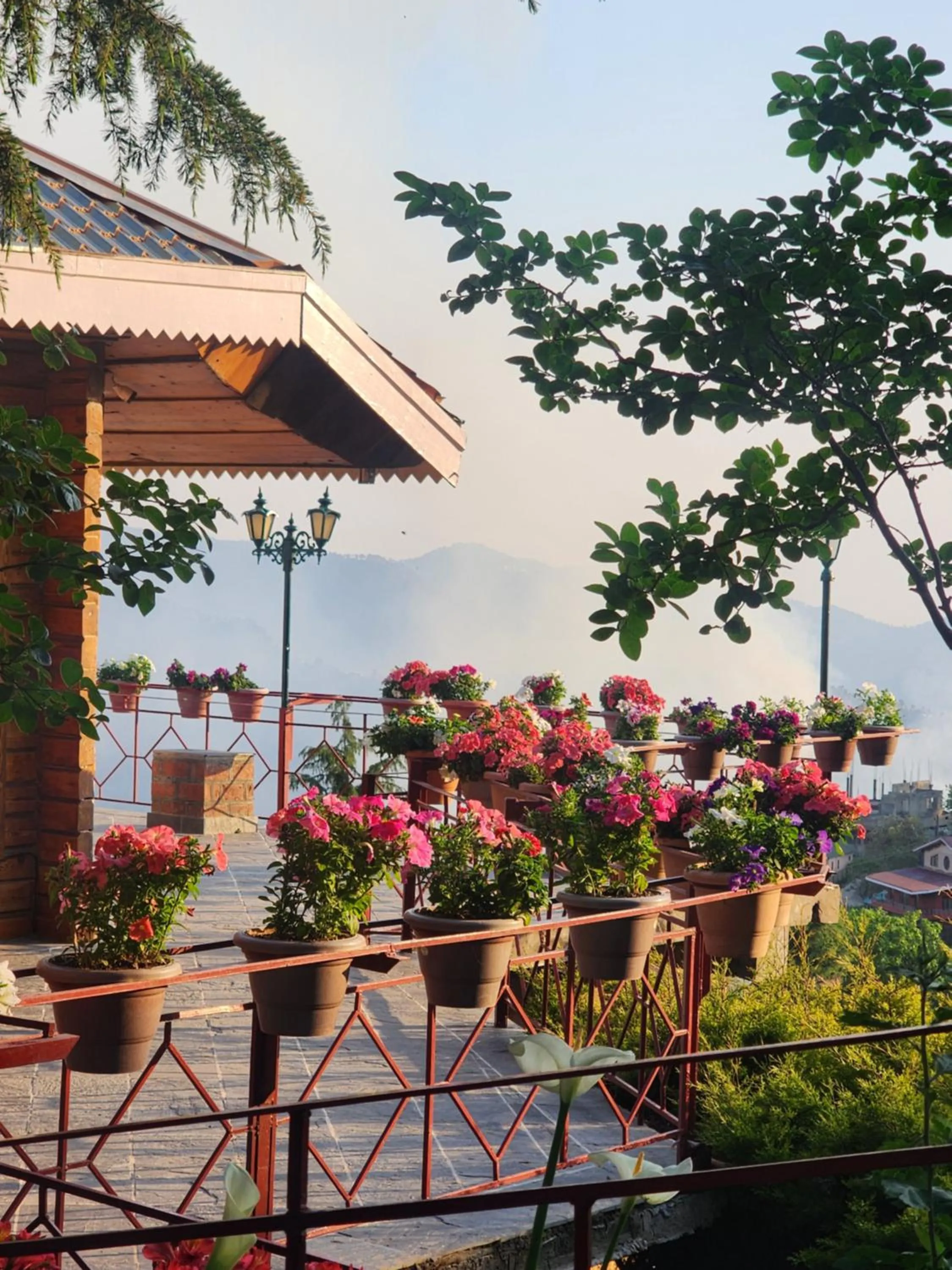 The Chalets Naldehra