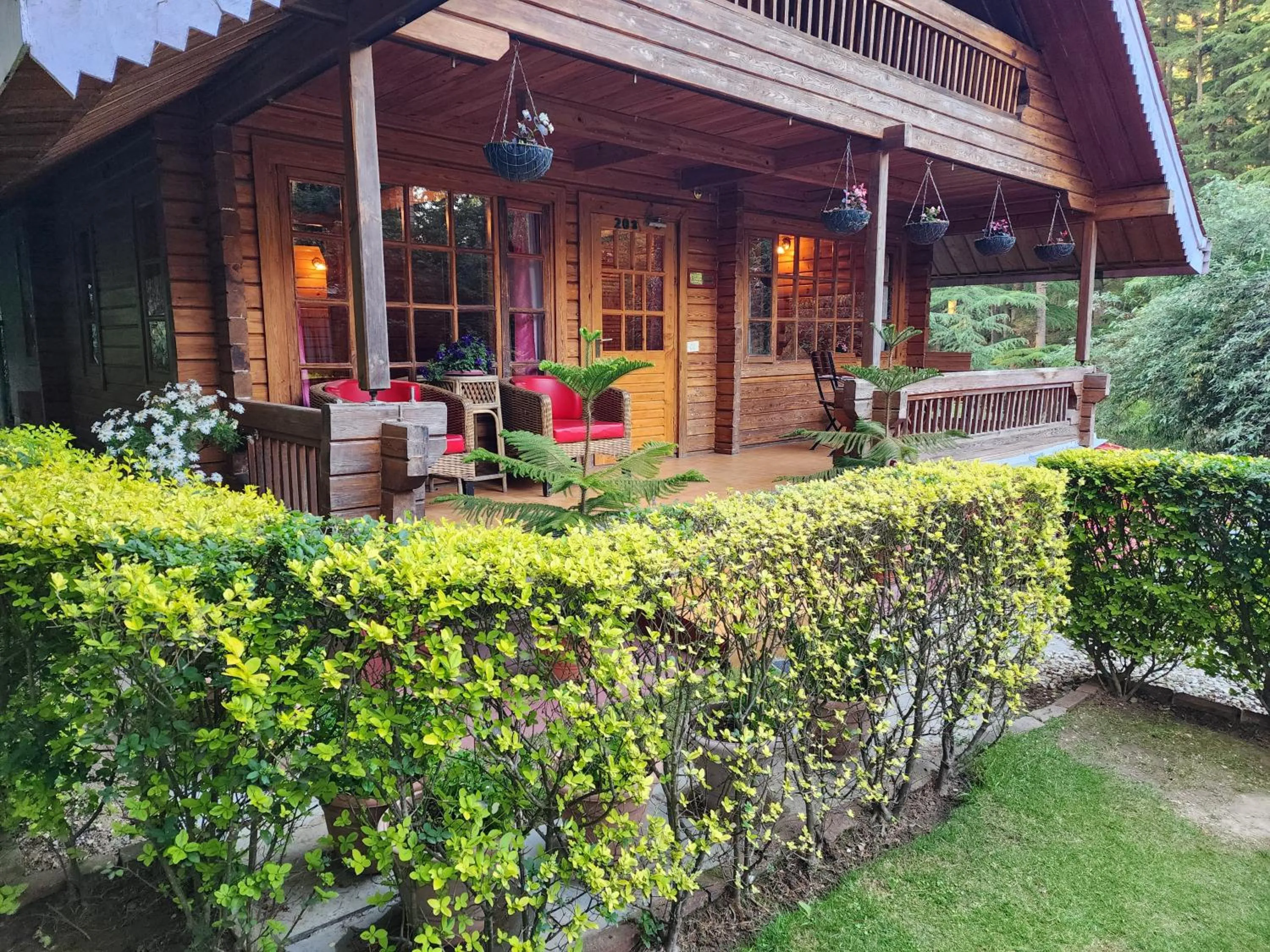 View (from property/room) in The Chalets Naldehra