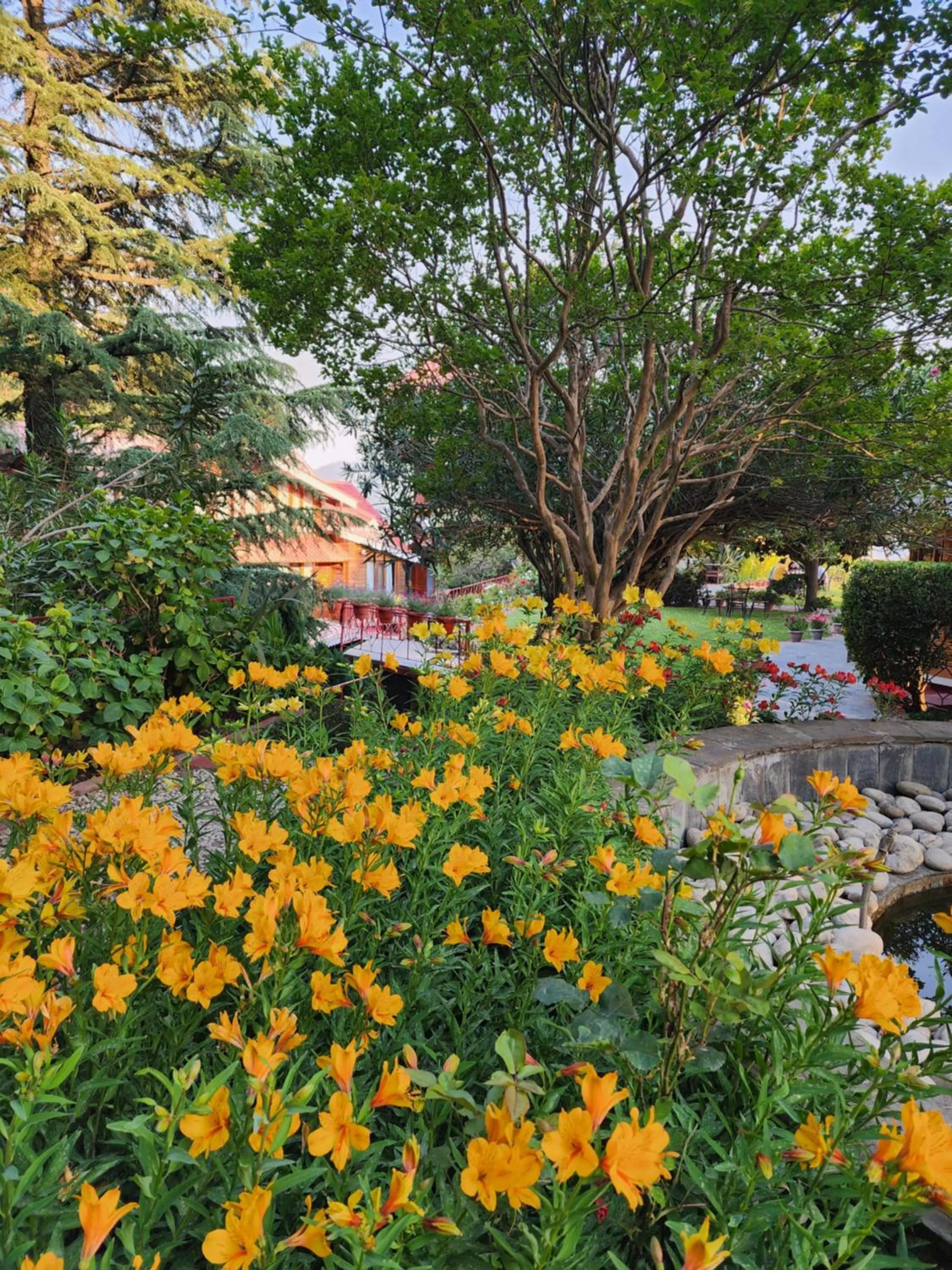 The Chalets Naldehra