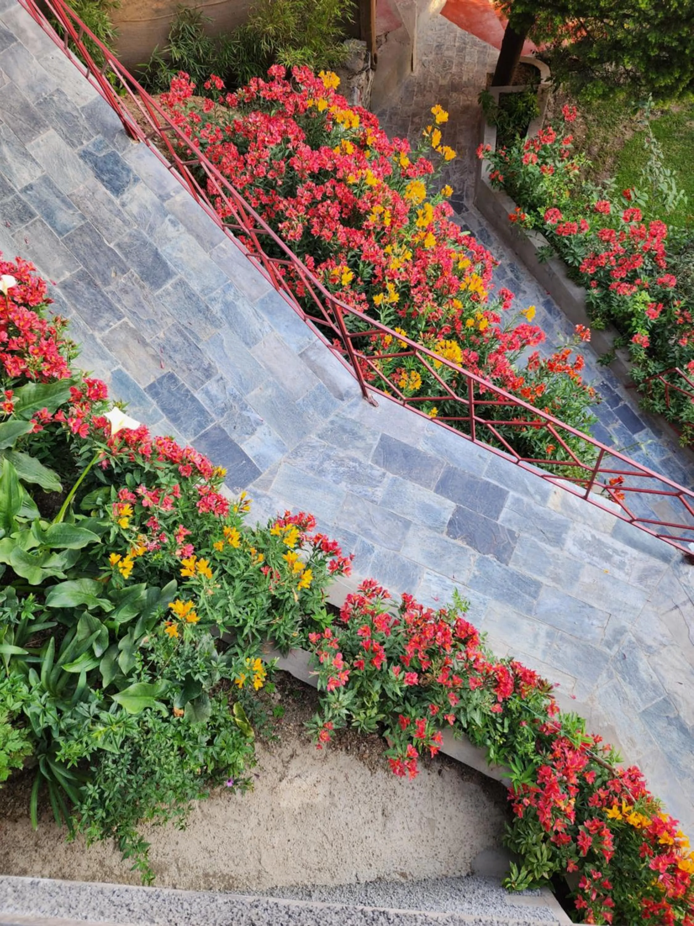 The Chalets Naldehra