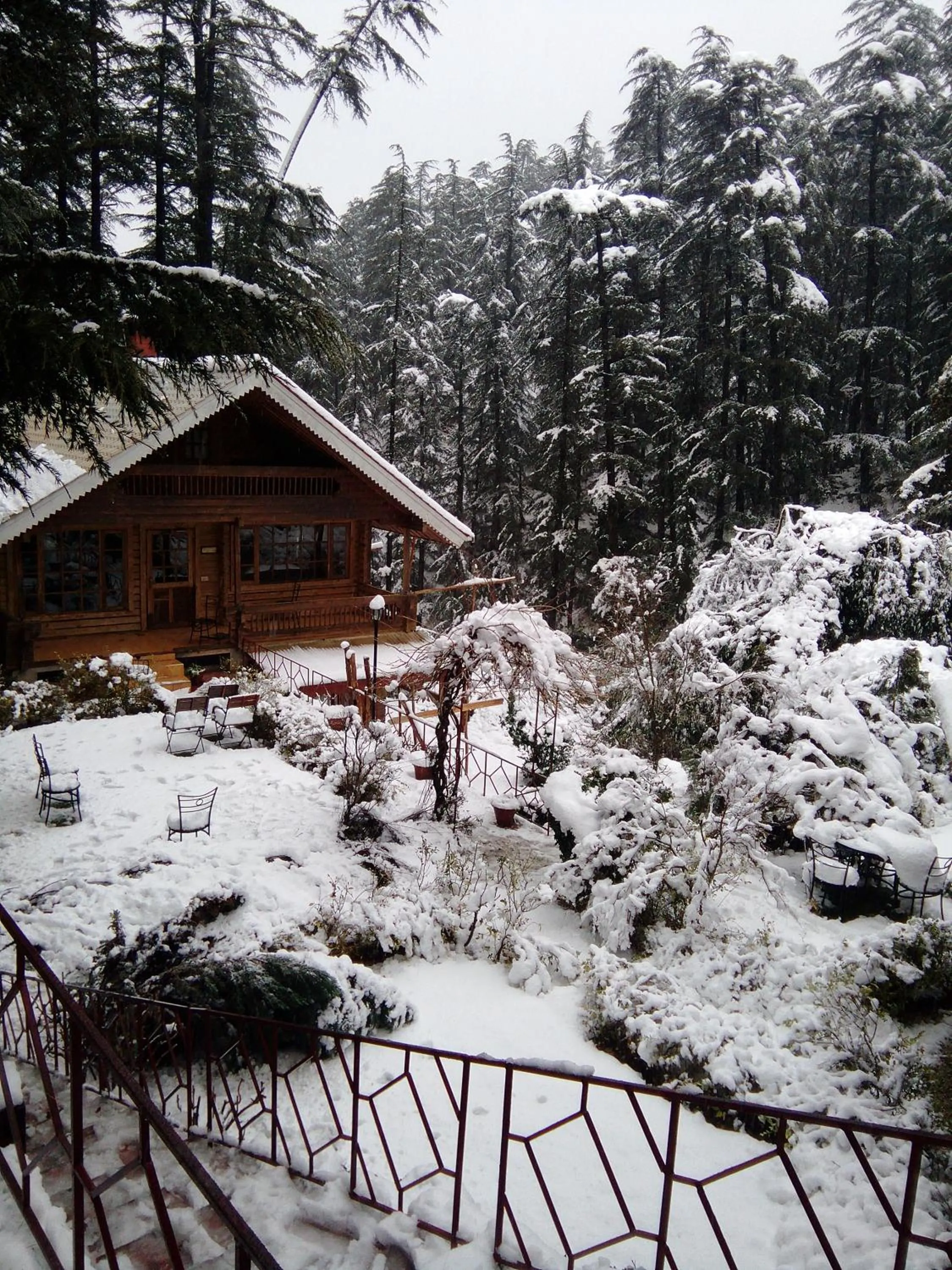 Natural landscape in The Chalets Naldehra