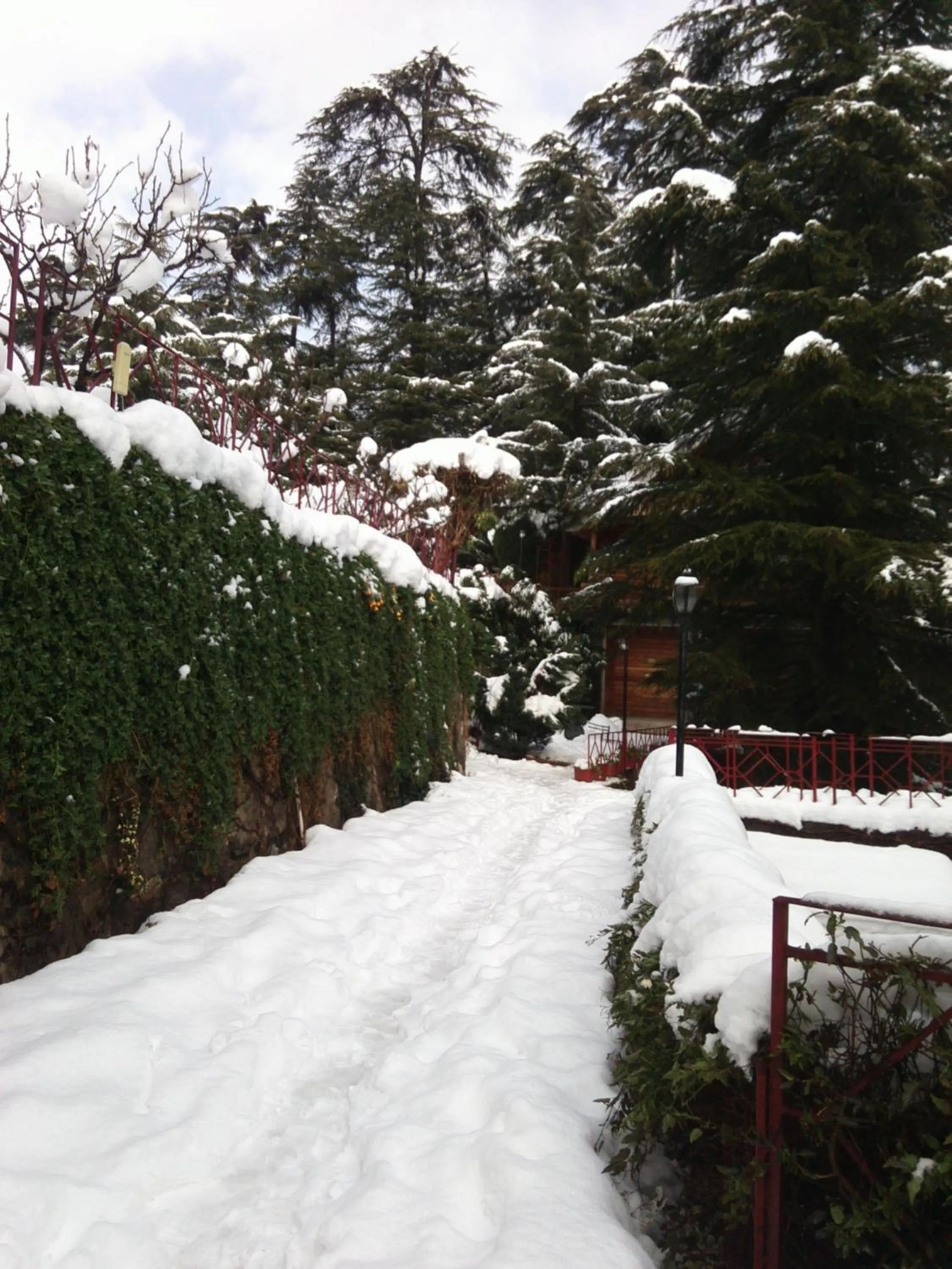 Winter in The Chalets Naldehra