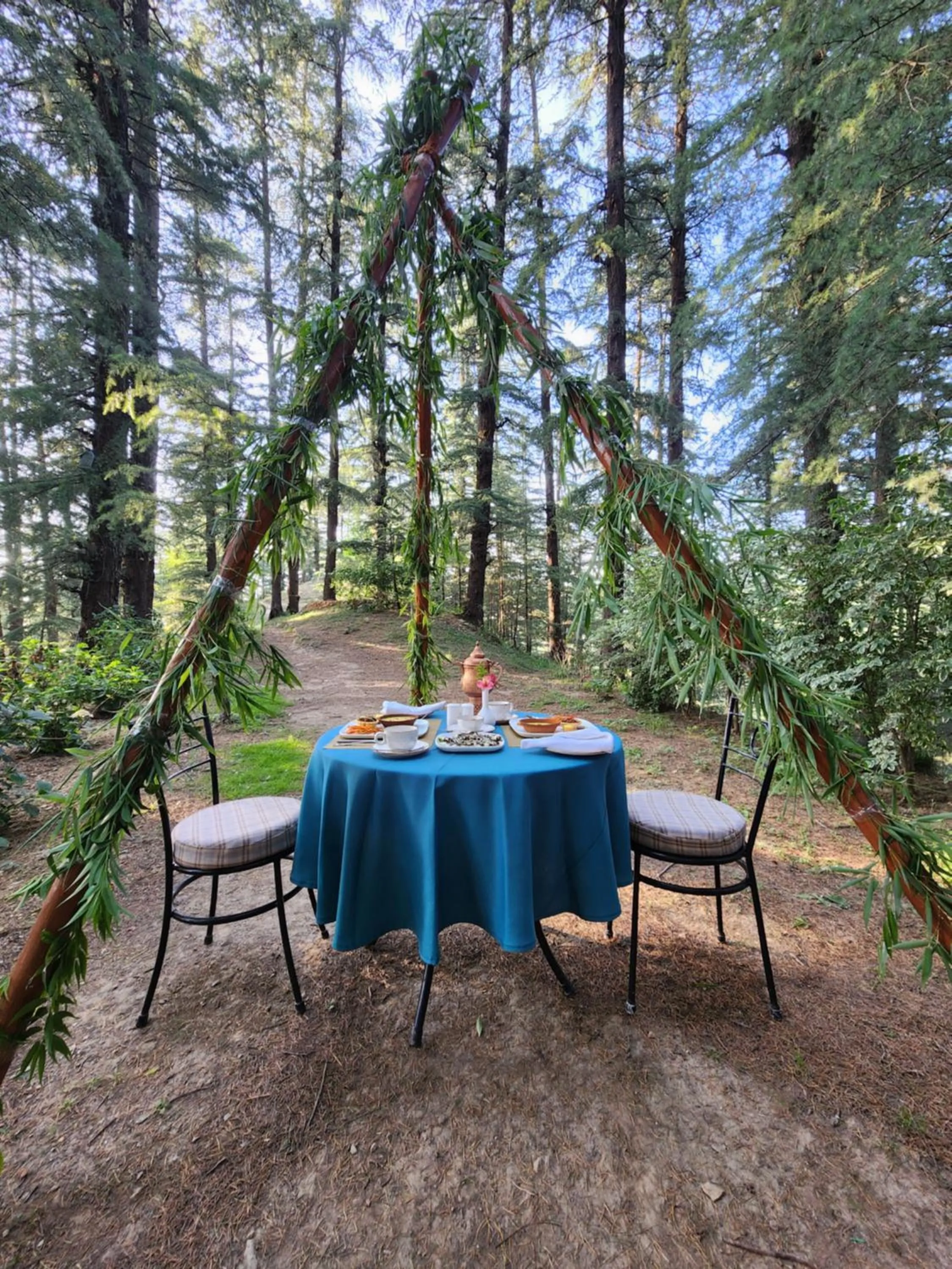 The Chalets Naldehra