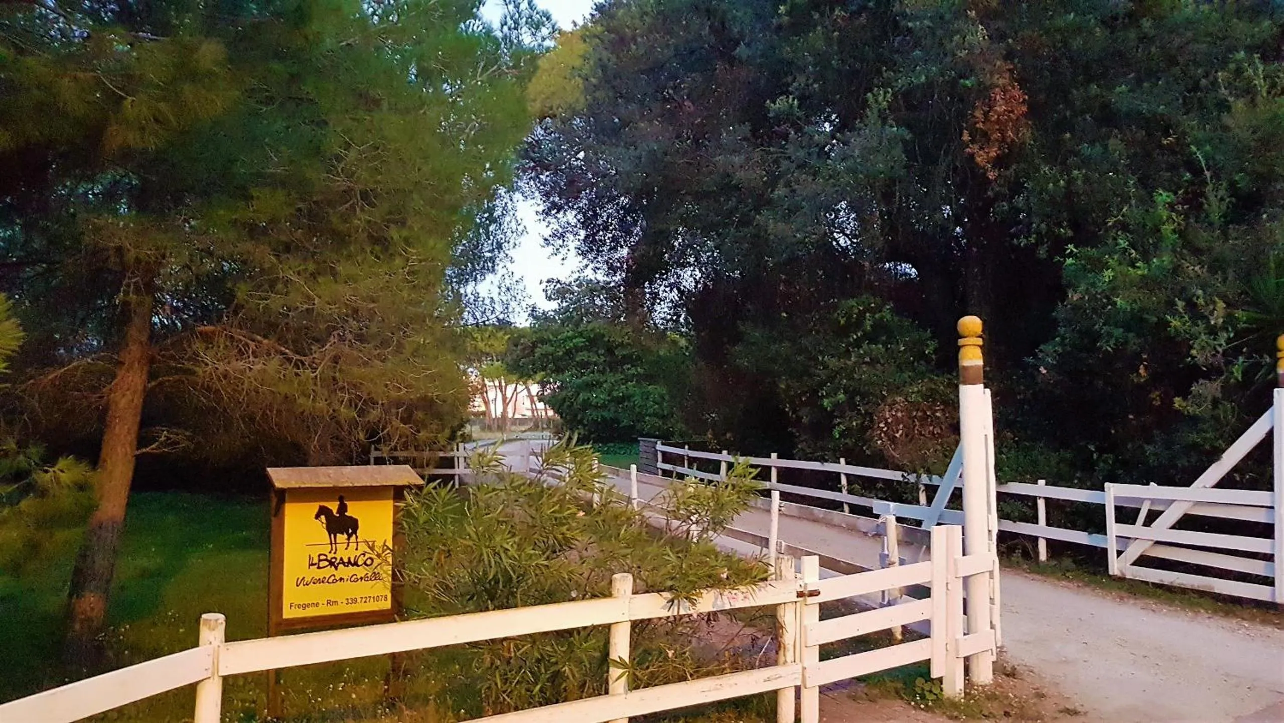 Natural landscape in B&B Villa Jasiga